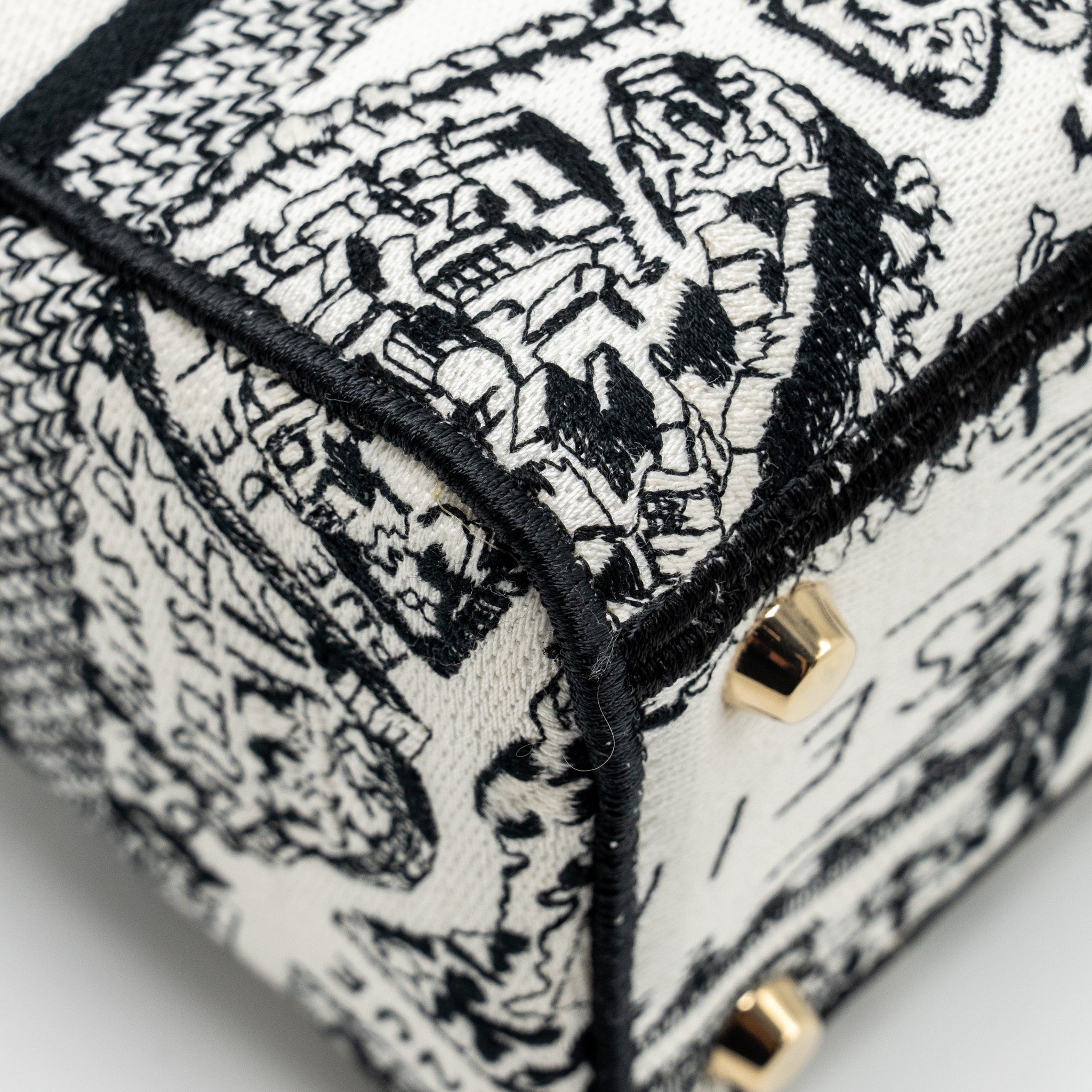 DIOR MEDIUM LADY D-LITE BAG PLAN DE PARIS EMBROIDERY CANVAS BLACK/WHITE LGHW
