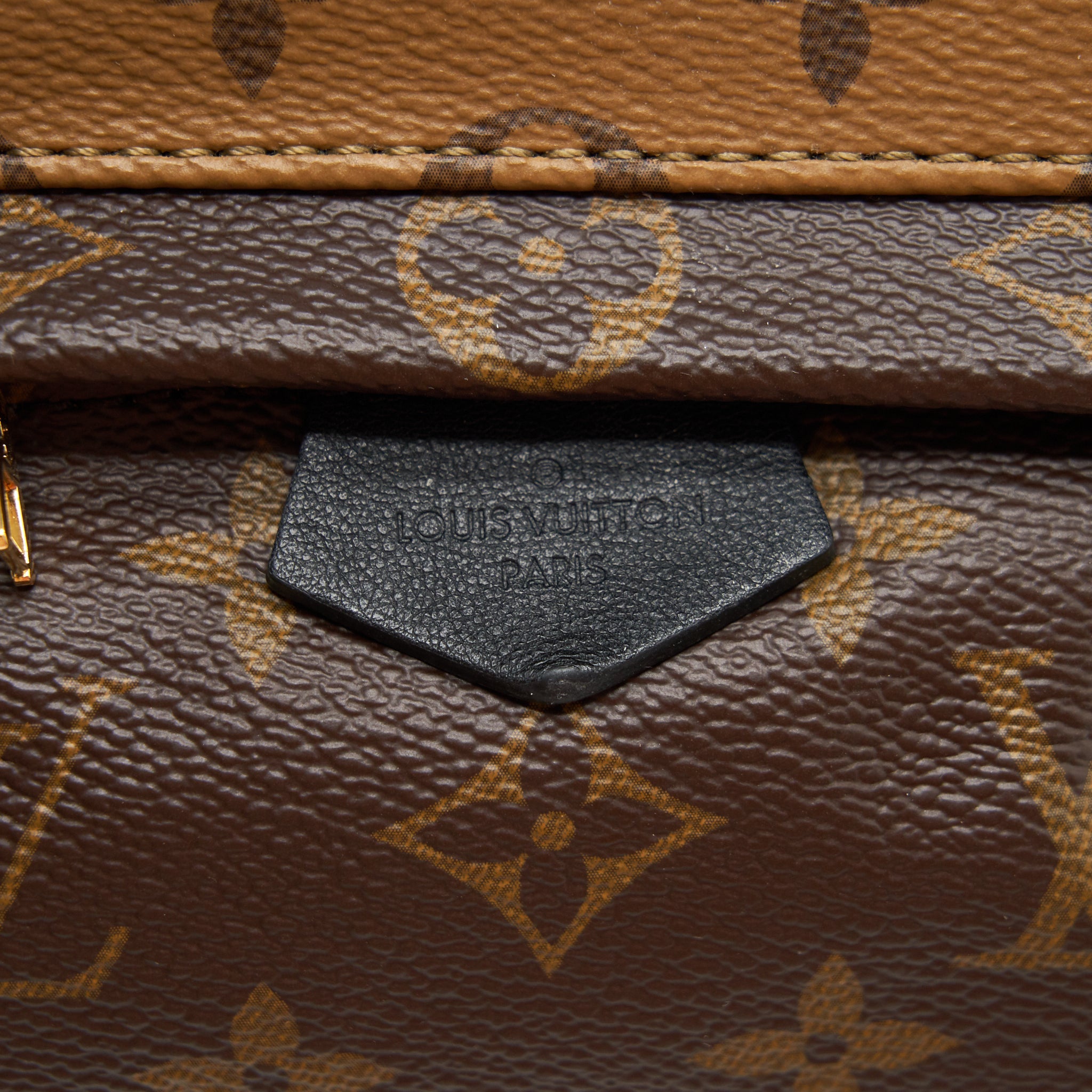 LOUIS VUITTON PALM SPRING MINI BACKPACK MONOGRAM CANVAS