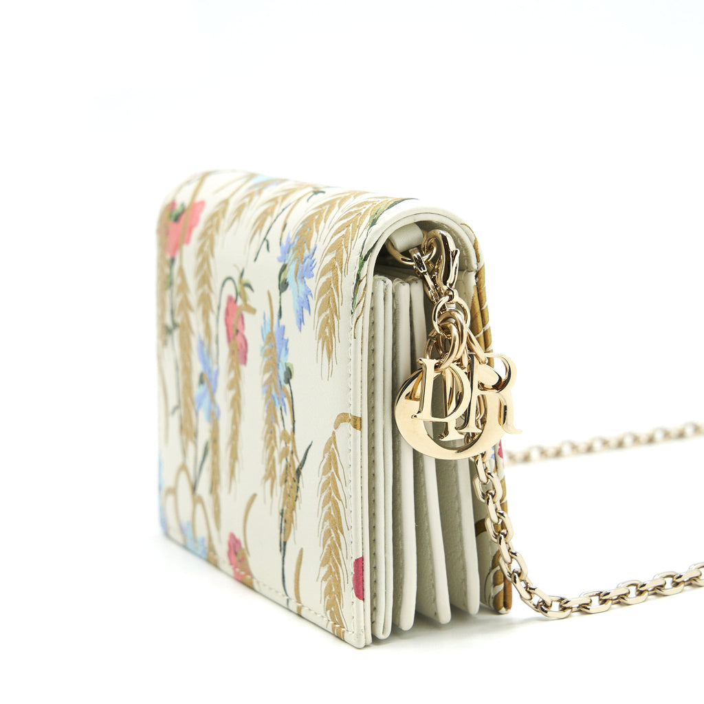 DIOR CARD HOLDER WITH CHAINS LGHW