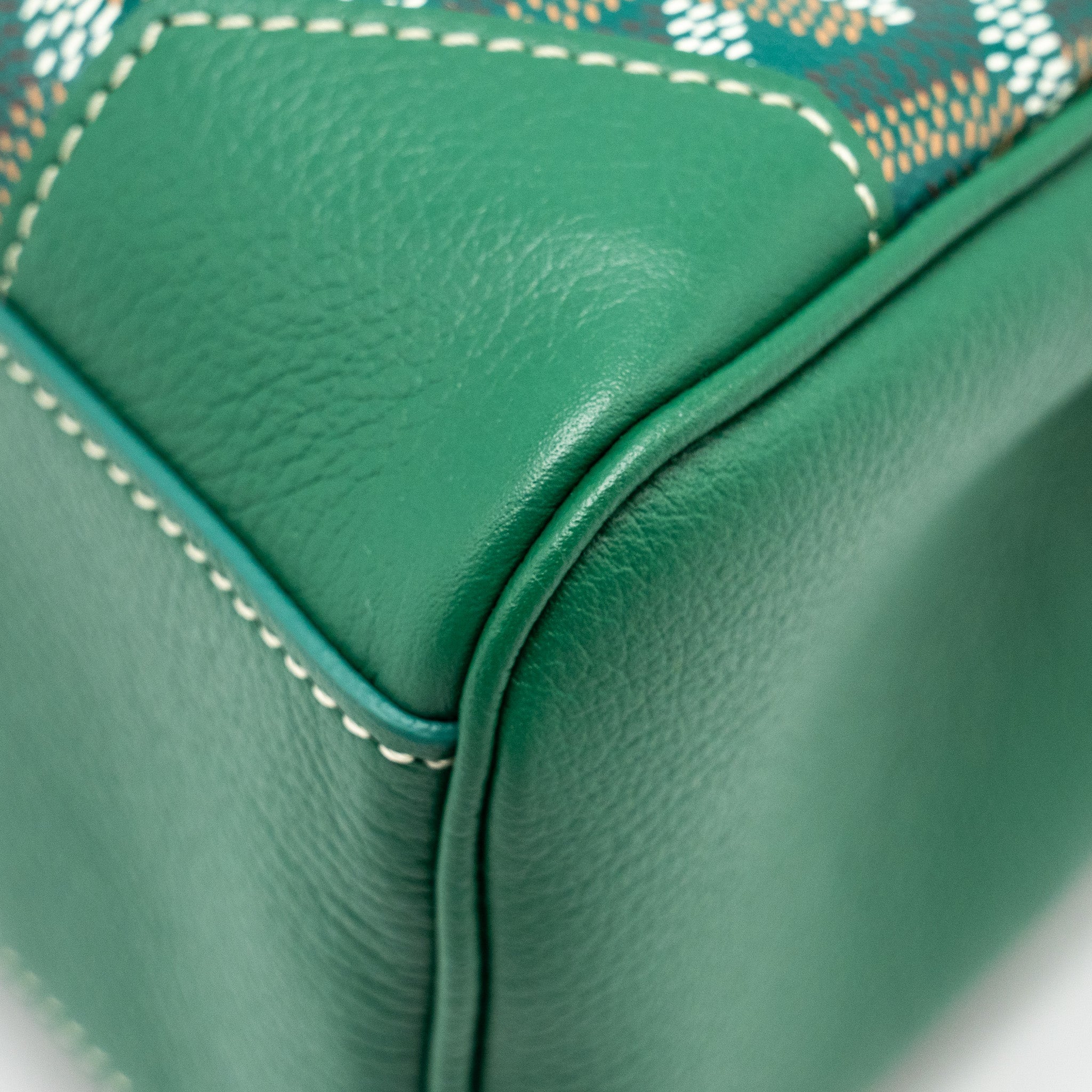 GOYARD MINI SAIGON BAG GOYARDLINE CANVAS/CALFSKIN GREEN SHW