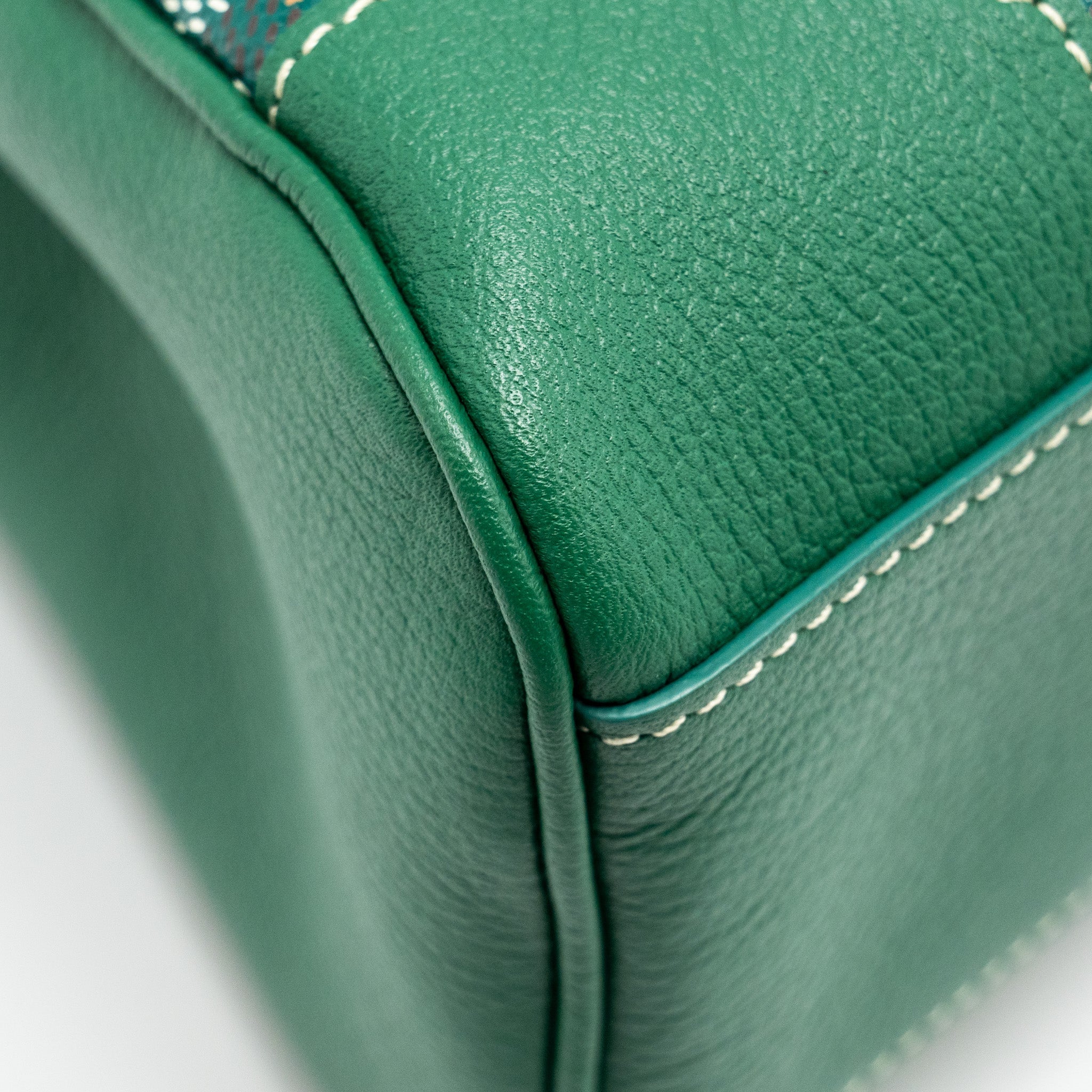 GOYARD MINI SAIGON BAG GOYARDLINE CANVAS/CALFSKIN GREEN SHW