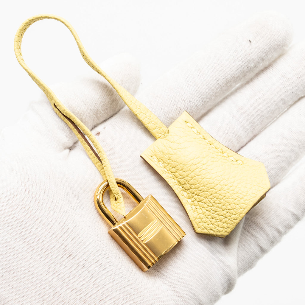 HERMES BIRKIN 25 TOGO 1Z JAUNE POUSSIN GHW