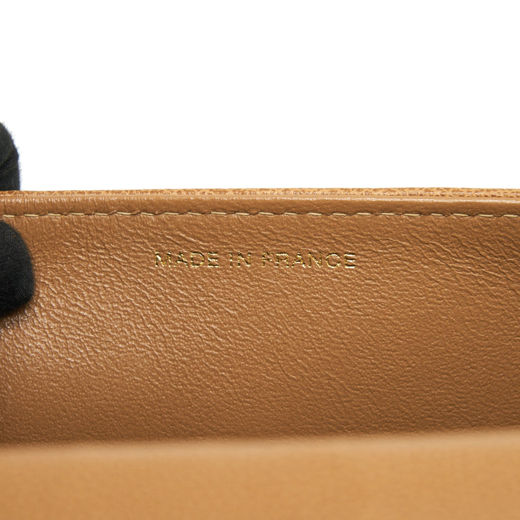 CHANEL VINTAGE BAG IN BROWN GHW