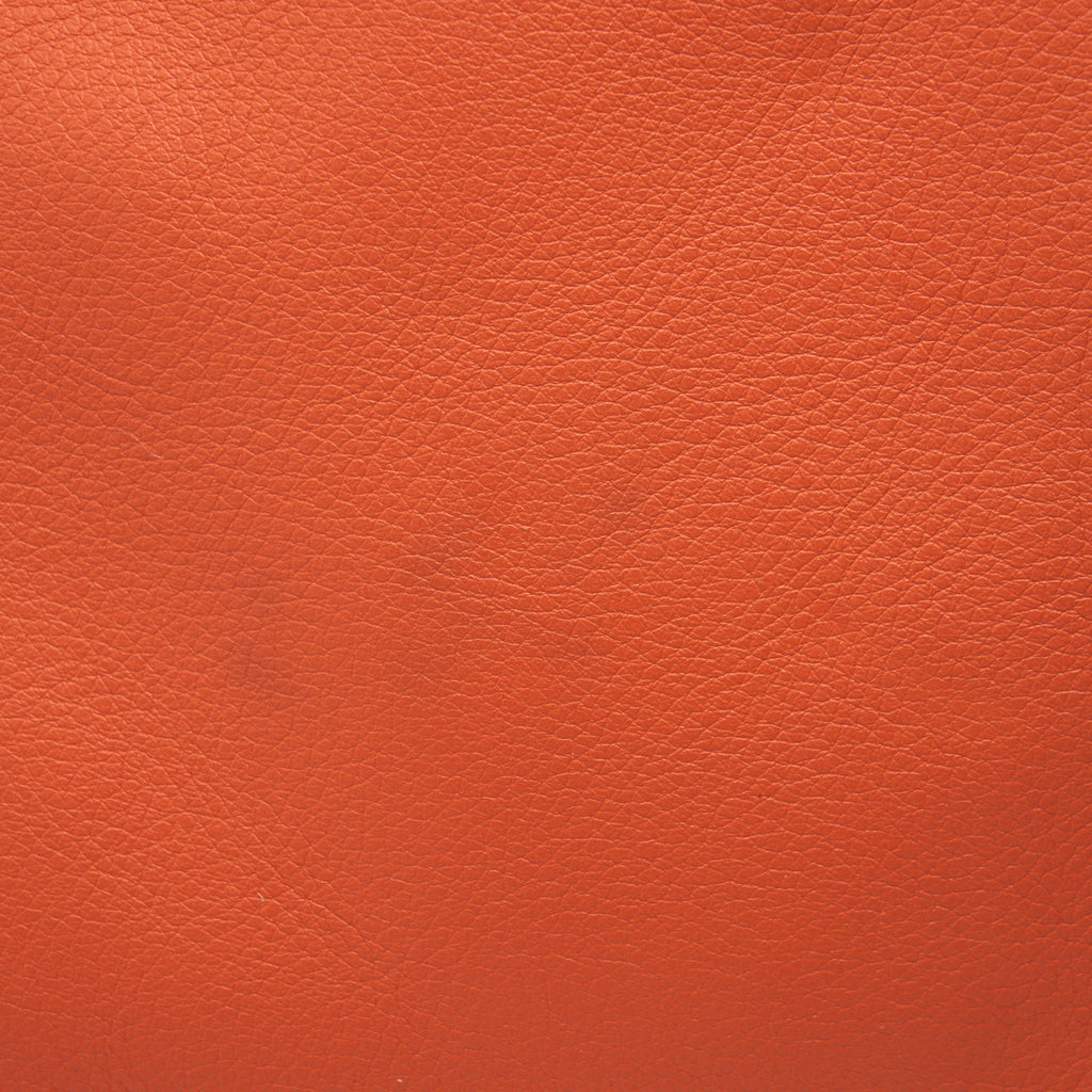 LOEWE ANTON SLING IN SOFT GRAINED CALFSKIN IN PUMPKIN