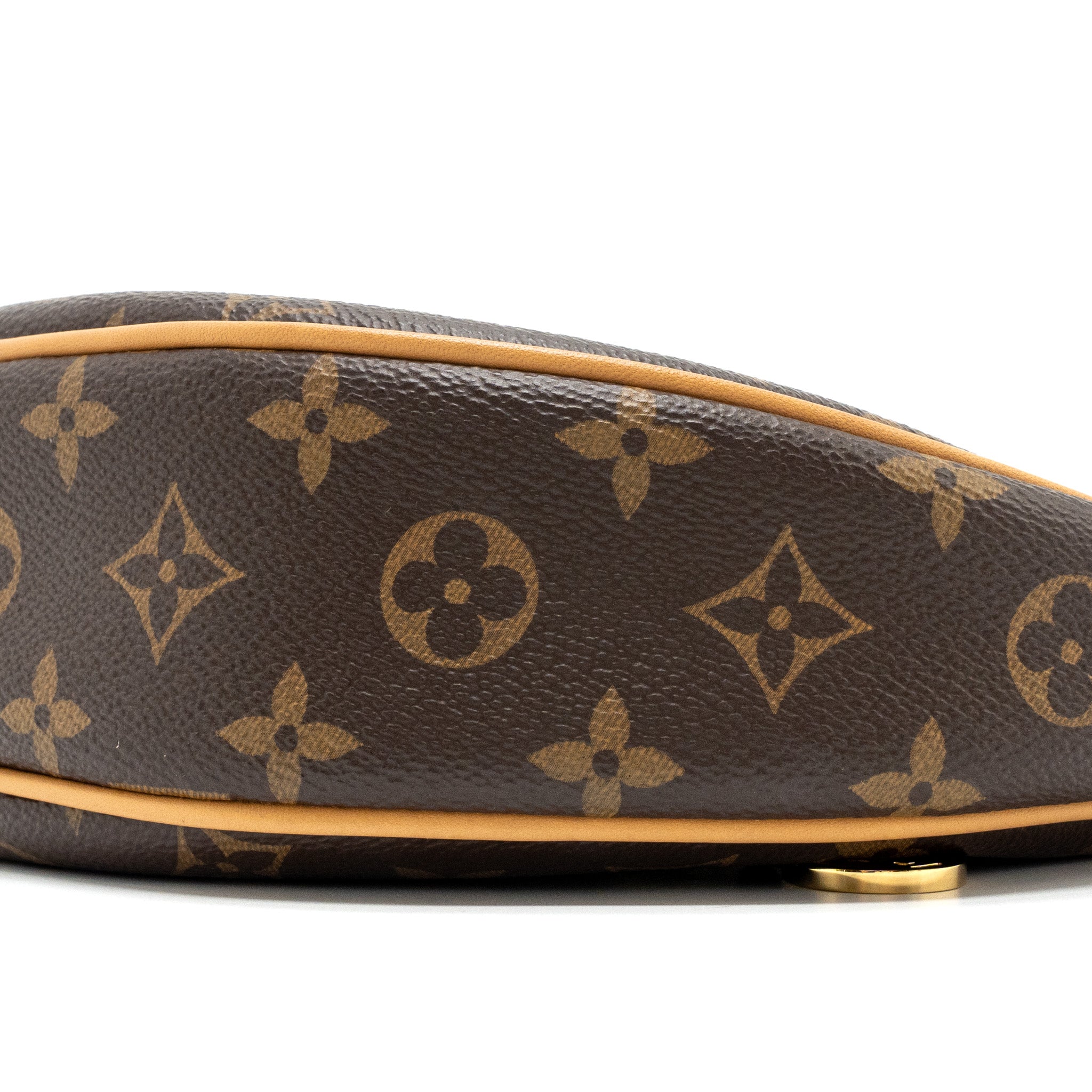 LOUIS VUITTON LOOP BAG MONOGRAM CANVAS GHW(NEW VERSION)