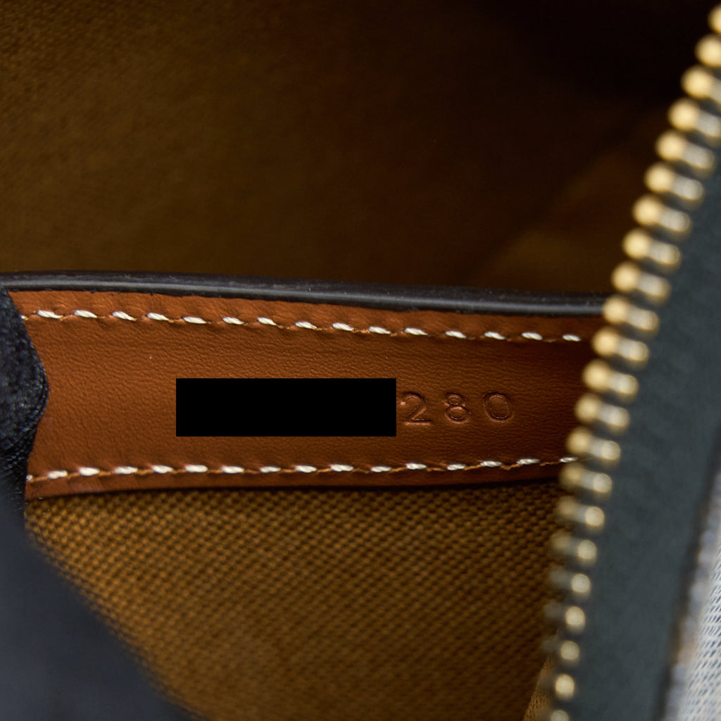 CELINE AVA BAG IN TRIOMPHE CANVAS AND CALFSKIN TAN