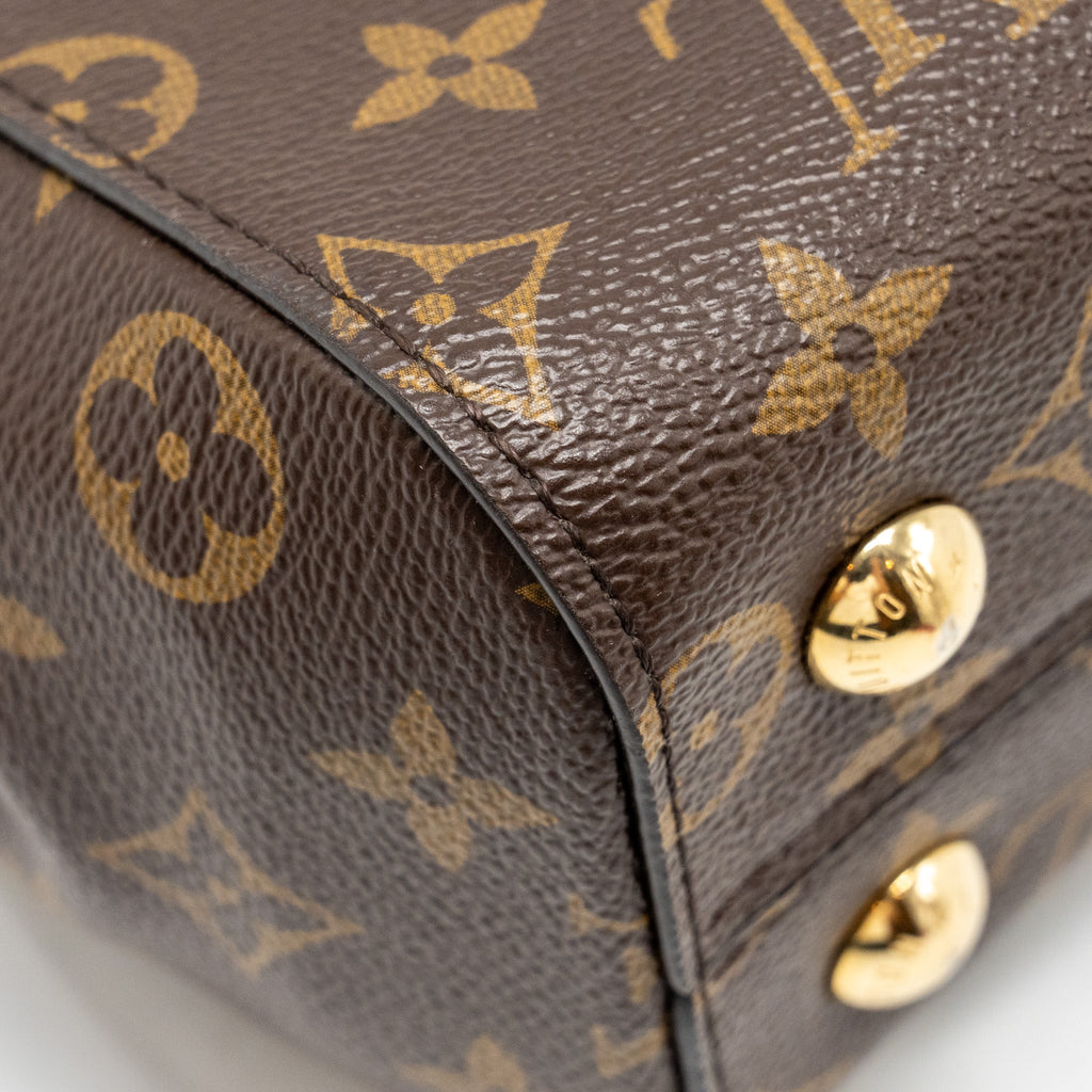LOUIS VUITTON CLUNY BB MONOGRAM CANVAS WITH PINK STRAP GHW