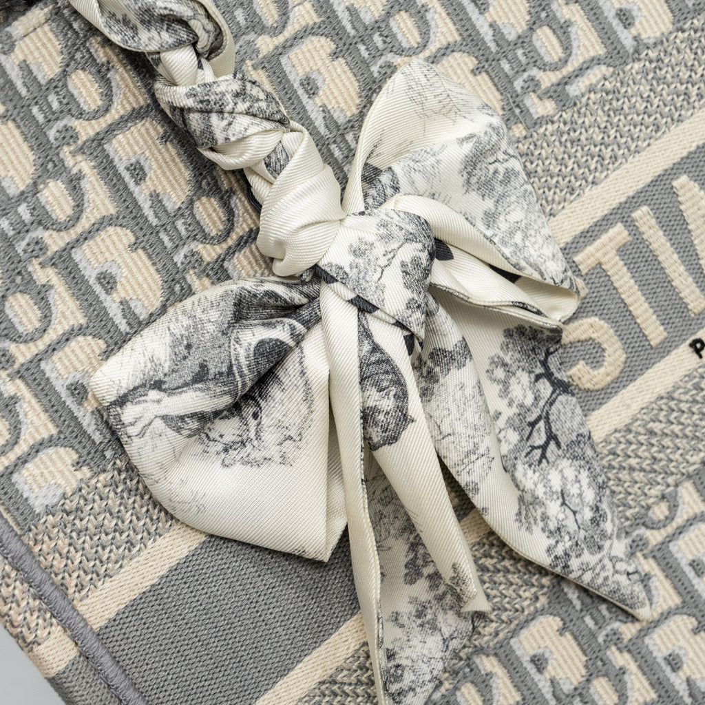 DIOR MEIDUM BOOK TOTE DIOR OBLIQUE EMBROIDERY CANVAS ECRU/GREY