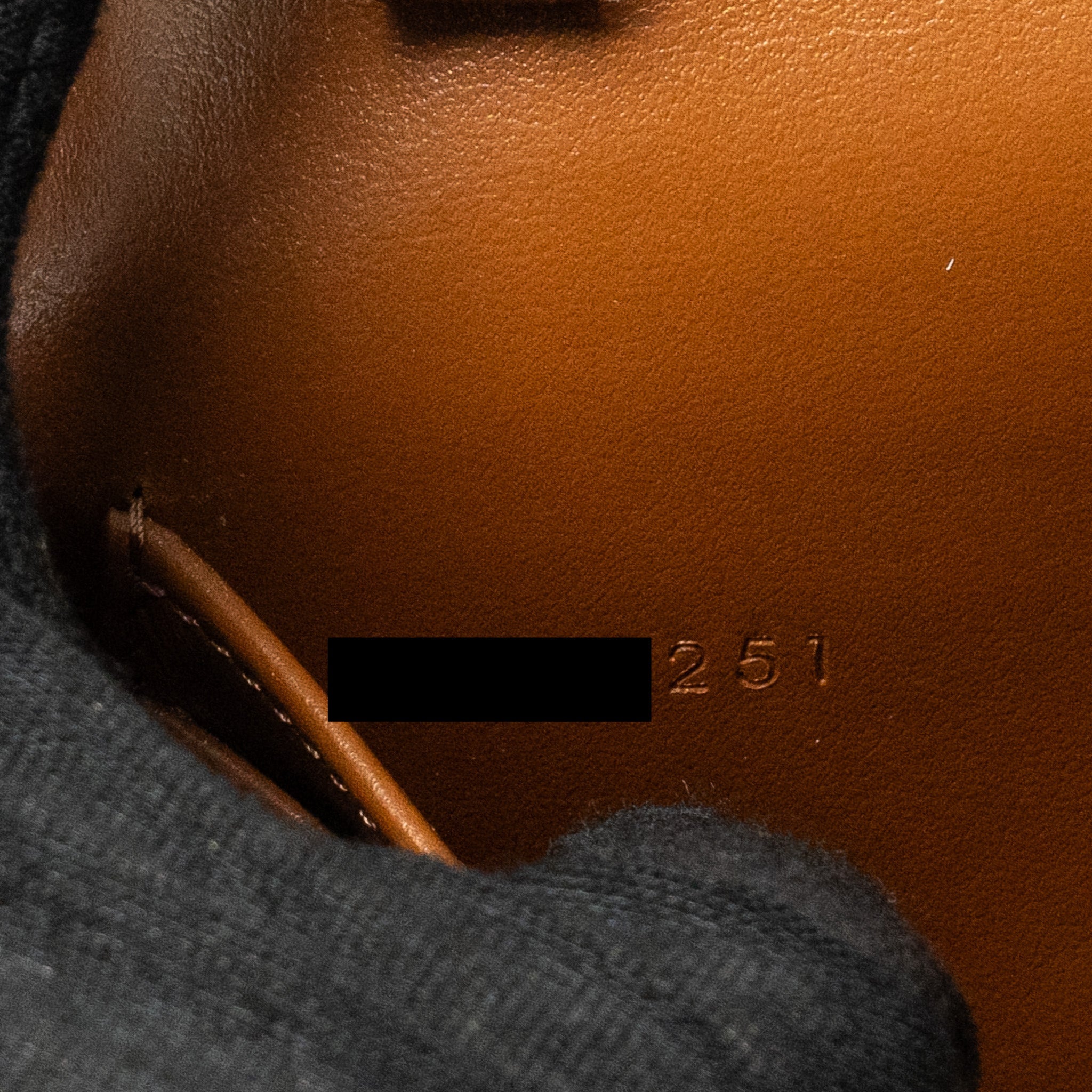 CELINE WALLET ON STRAP TRIOMPHE CANVAS/SMOOTH LAMBSKIN TAN GHW