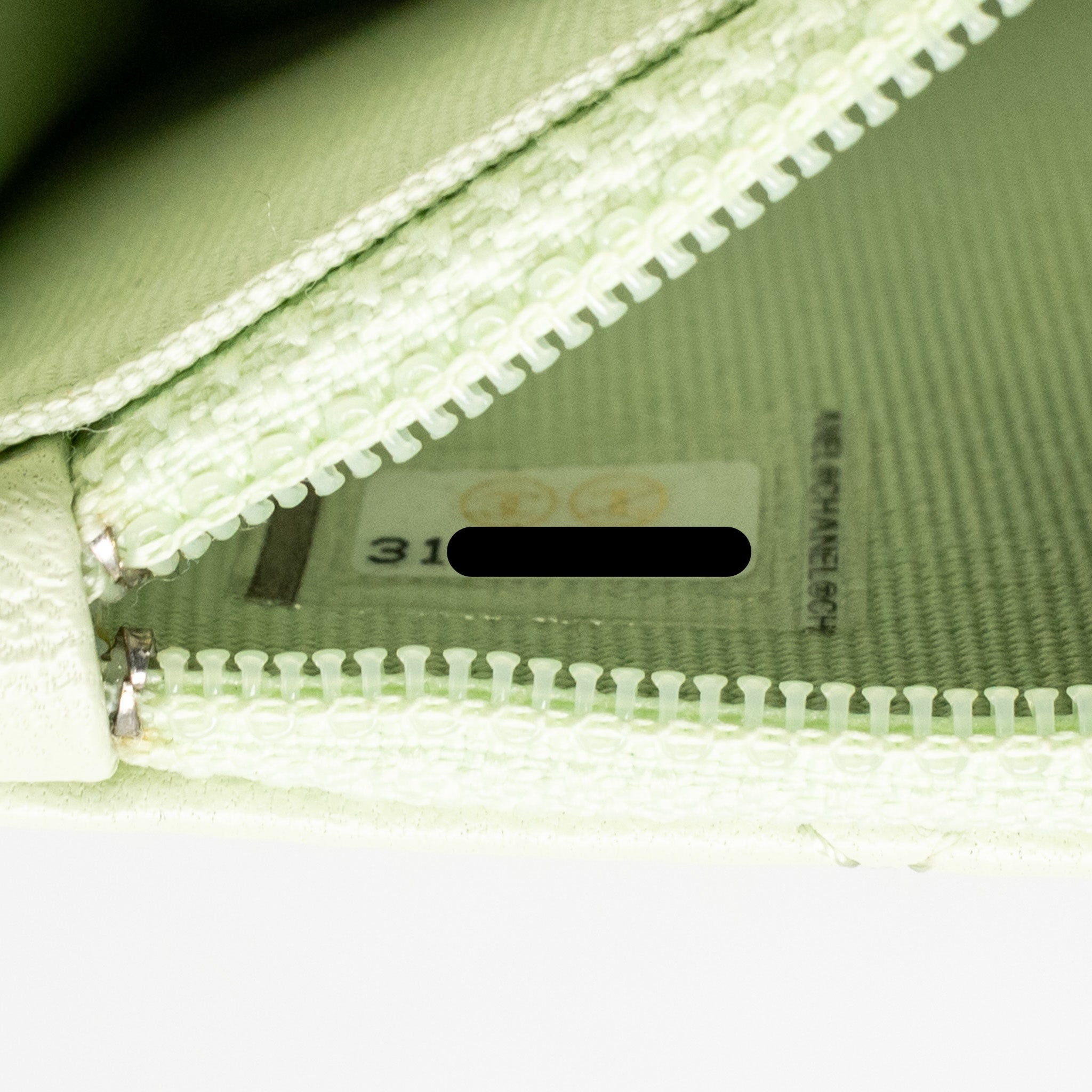 CHANEL 19 MINI CLUTCH WITH CHAIN LAMBSKIN LIGHT GREEN MULTICOLOUR HARDWARE