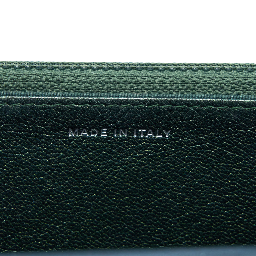 CHANEL CLASSIC WALLET ON CHAIN GOATSKIN IRIDESCENT GREEN RAINBOW HARDWARE