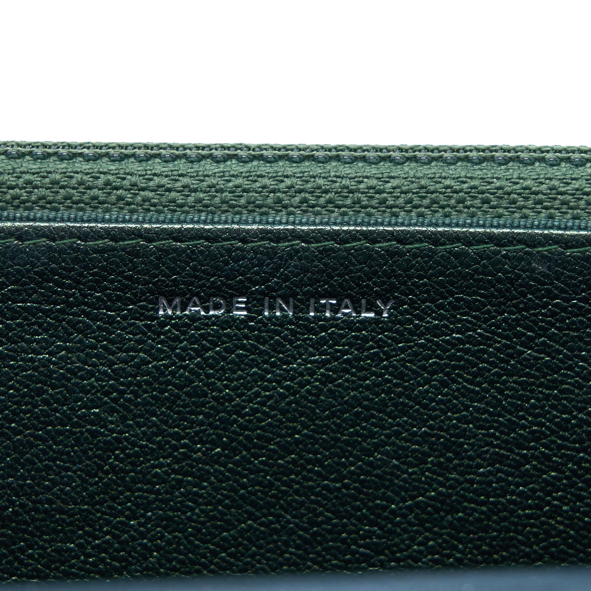 CHANEL CLASSIC WALLET ON CHAIN GOATSKIN IRIDESCENT GREEN RAINBOW HARDWARE