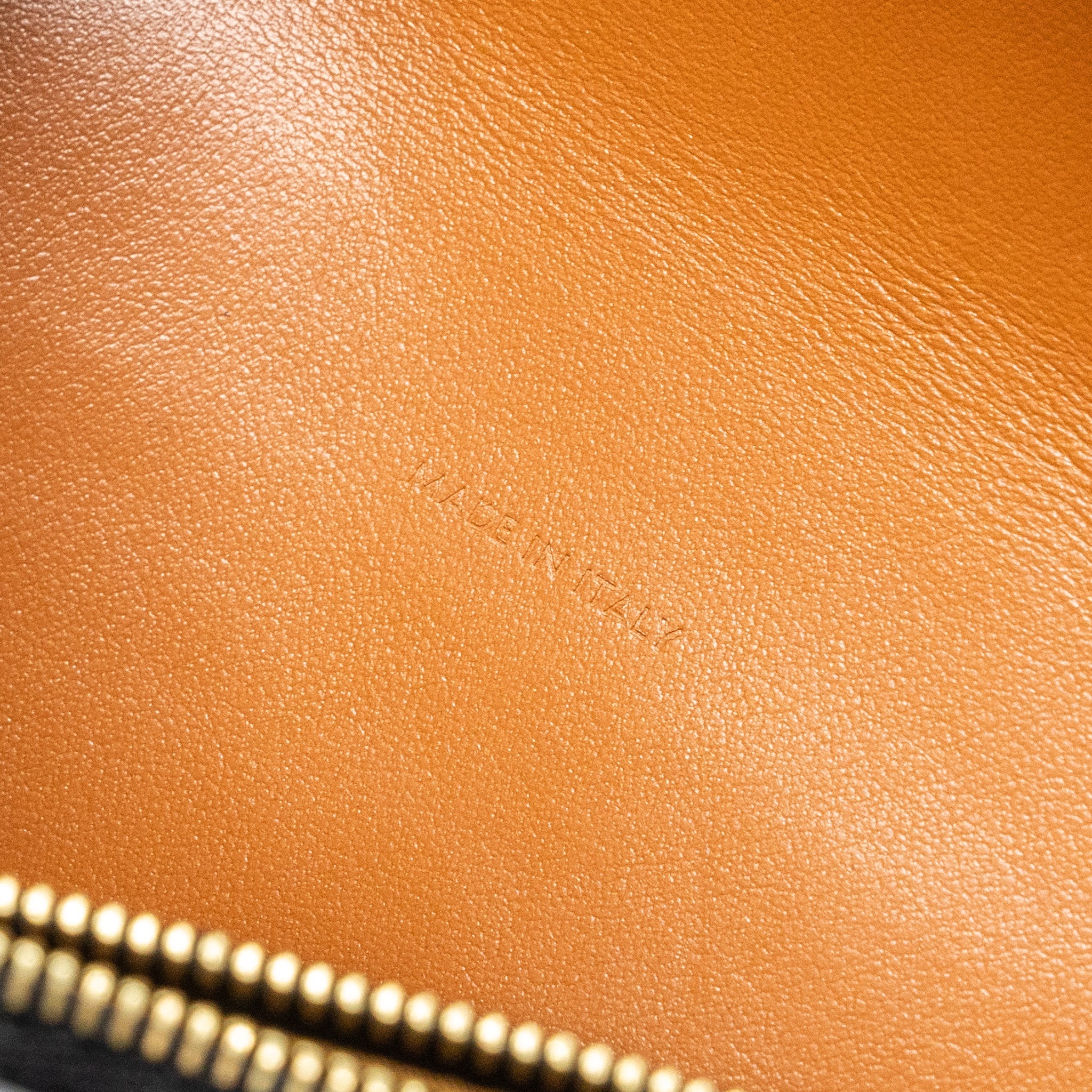 CELINE WALLET ON STRAP TRIOMPHE CANVAS / LEATHER TAN GHW