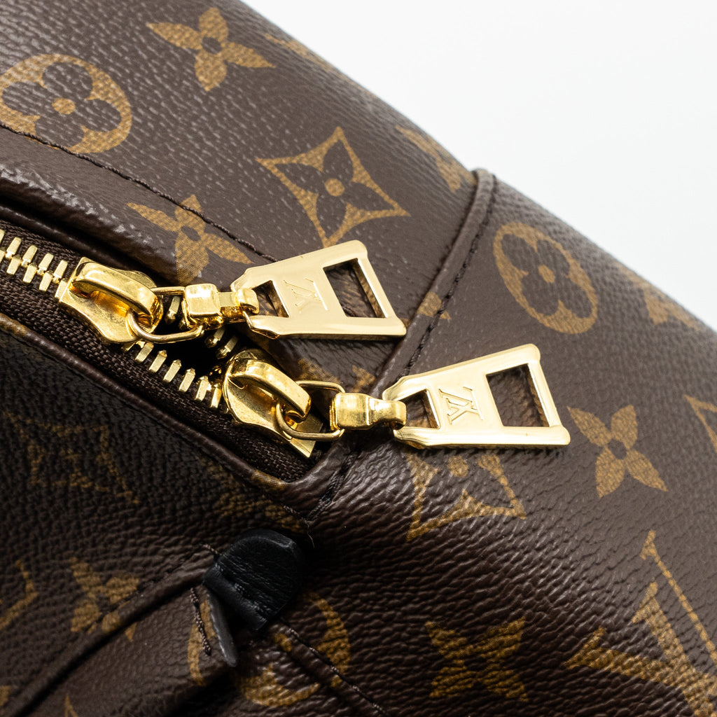 LOUIS VUITTON PALM SPRING BACKPACK PM MONOGRAM CANVAS GHW