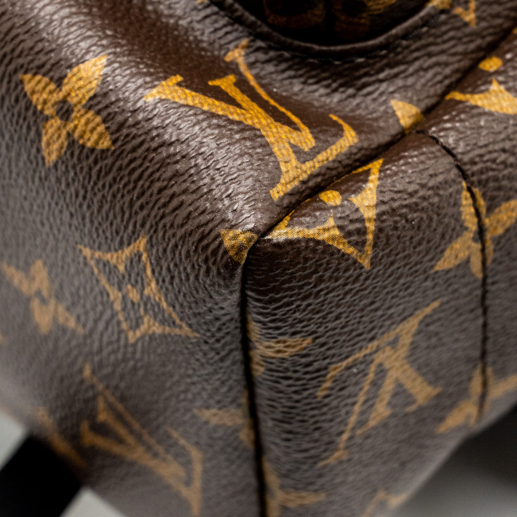 LOUIS VUITTON PALM SPRING BACKPACK MM MONOGRAM CANVAS