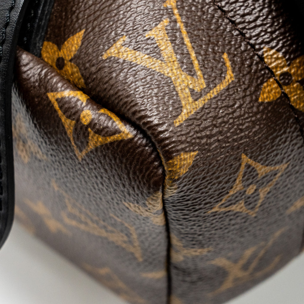 LOUIS VUITTON PALM SPRING BACKPACK MM MONOGRAM CANVAS
