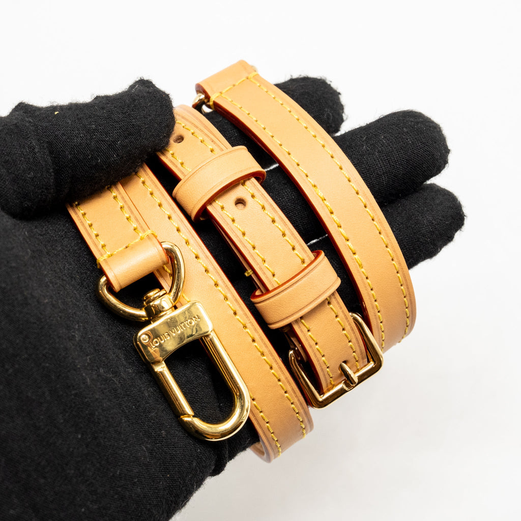 LOUIS VUITTON NANO SPEEDY MONOGRAM CANVAS GHW