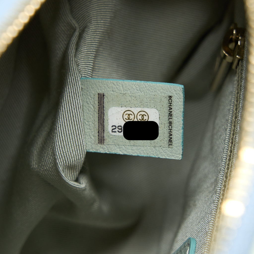 CHANEL SMALL CAMERA CASE TRICOLOUR GOATSKIN GREEN BLUE PINK LGHW
