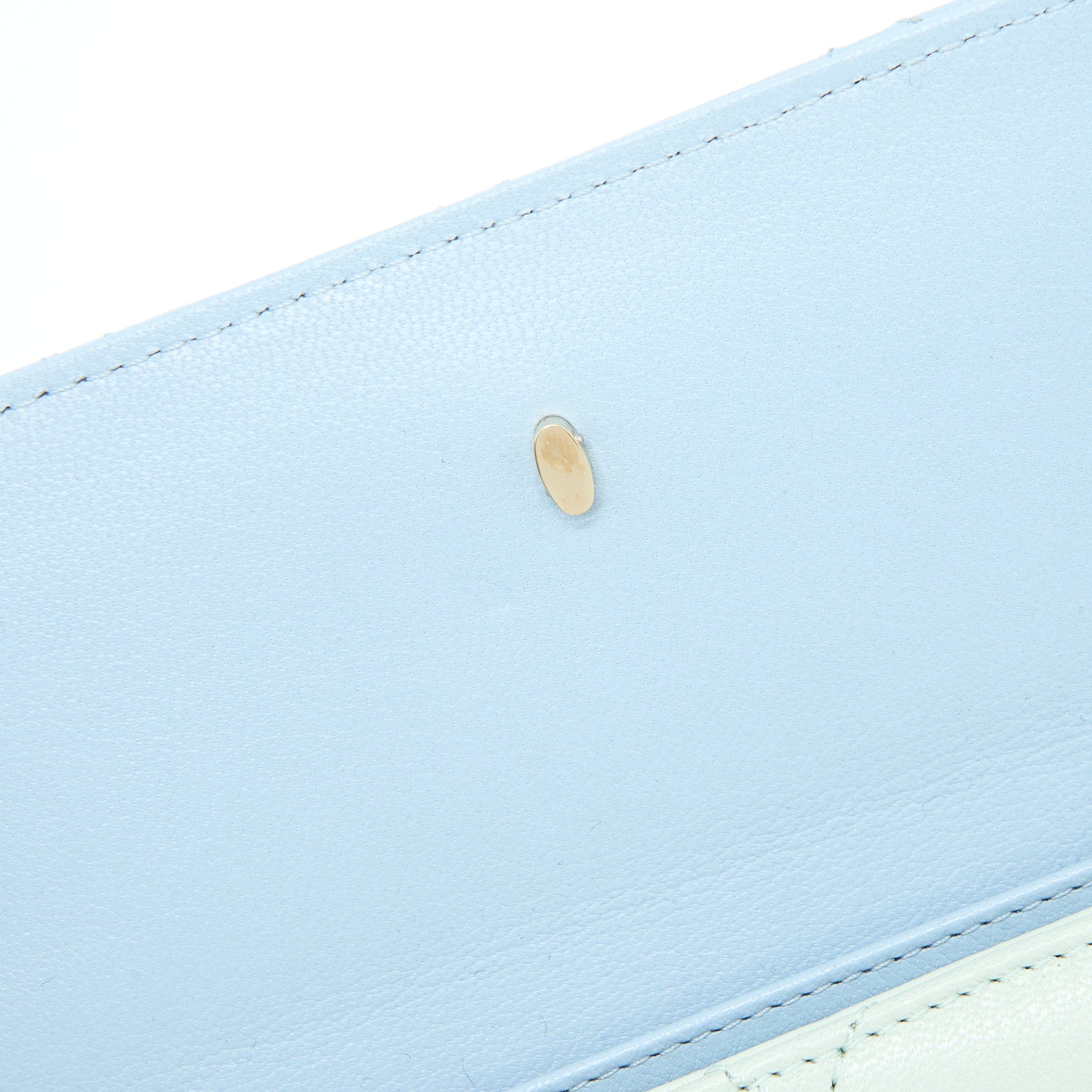 CHANEL SMALL CAMERA CASE TRICOLOUR GOATSKIN GREEN BLUE PINK LGHW