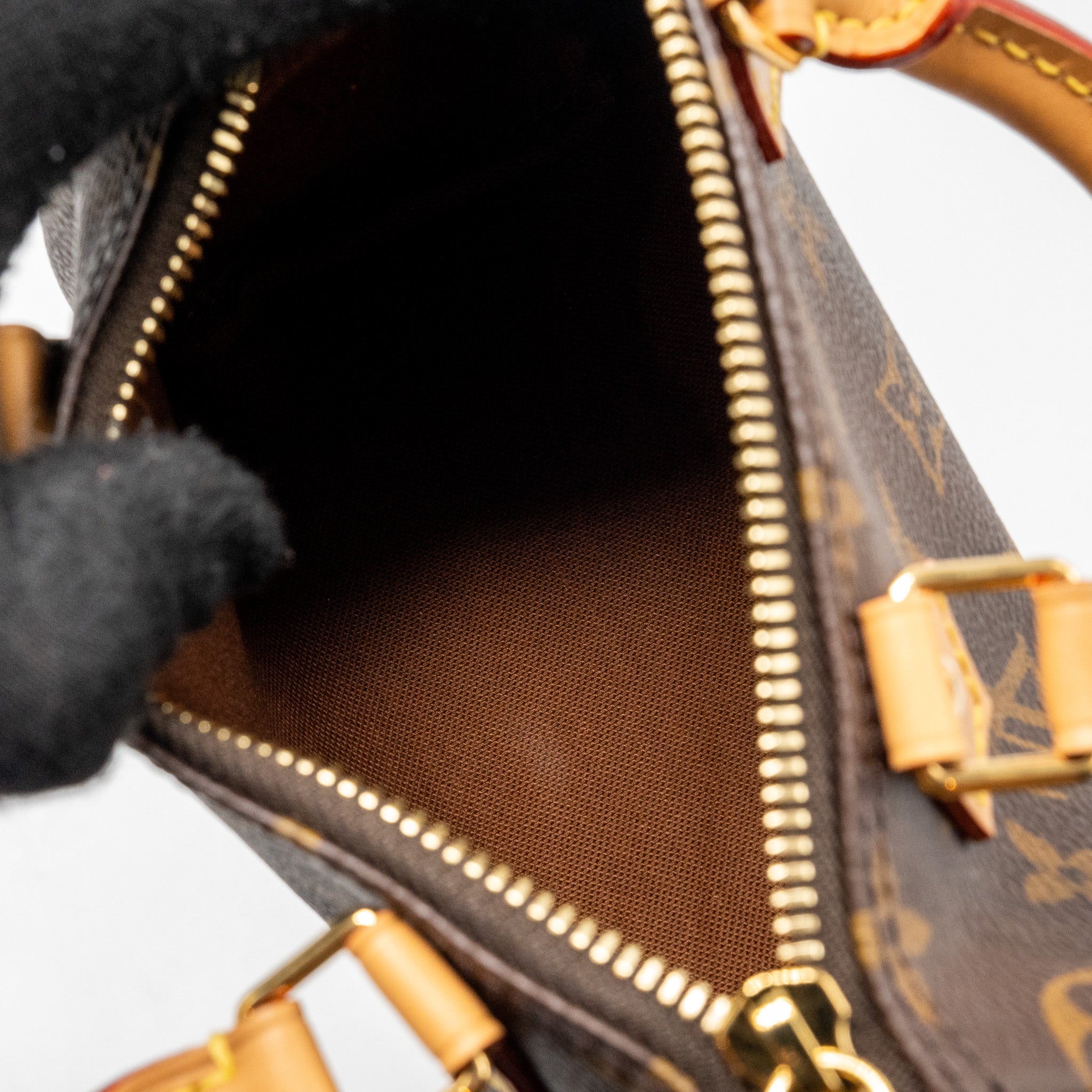LOUIS VUITTON NANO SPEEDY MONOGRAM CANVAS GHW (NEW VERSION)