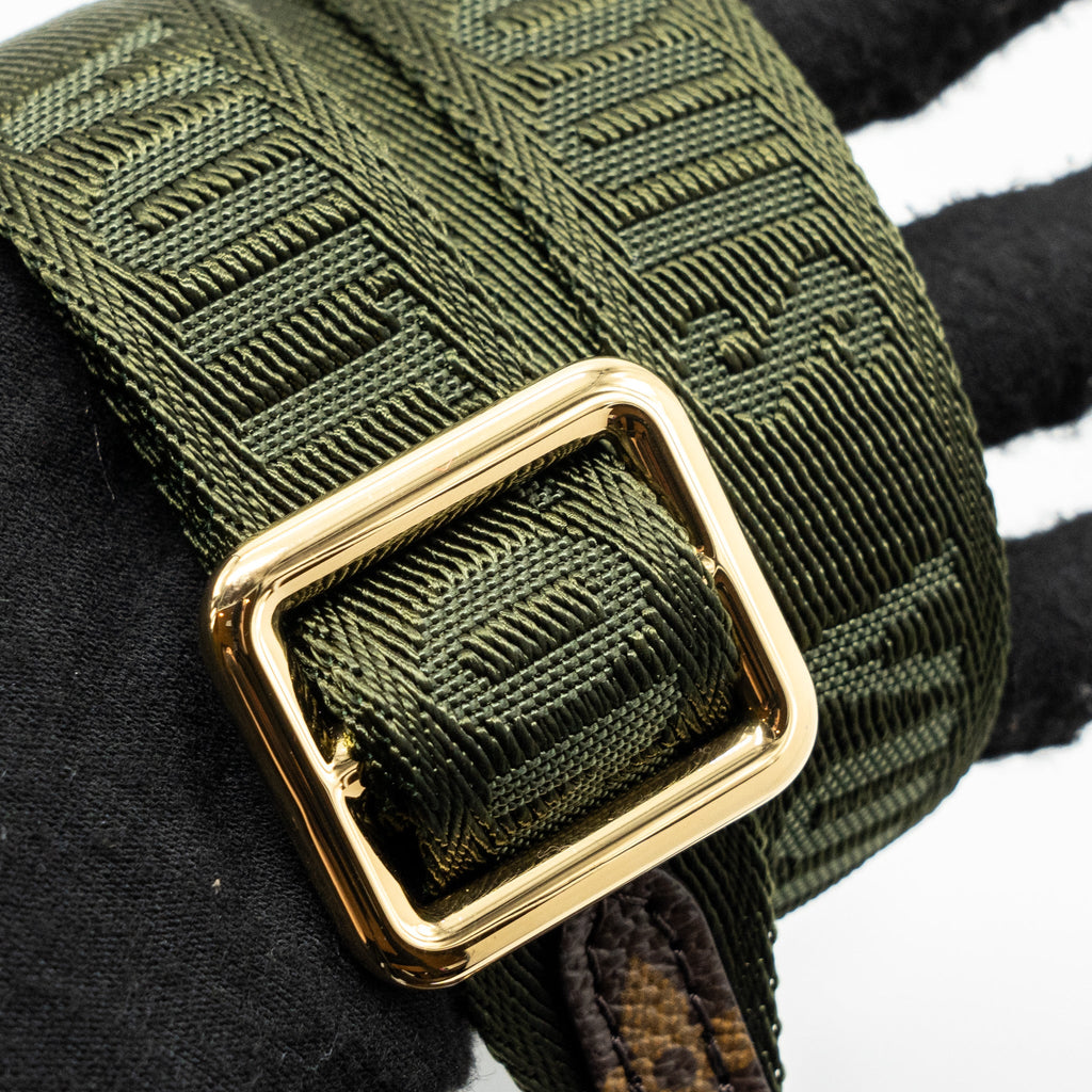 LOUIS VUITTON FELICIE STRAP & GO MONOGRAM CANVAS GHW (NEW VERSION)