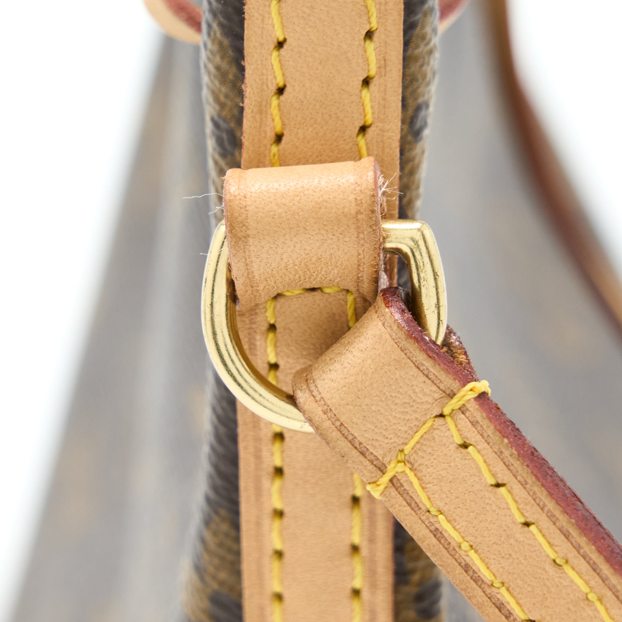 LOUIS VUITTON NANO NOE MONOGRAM CANVAS GHW