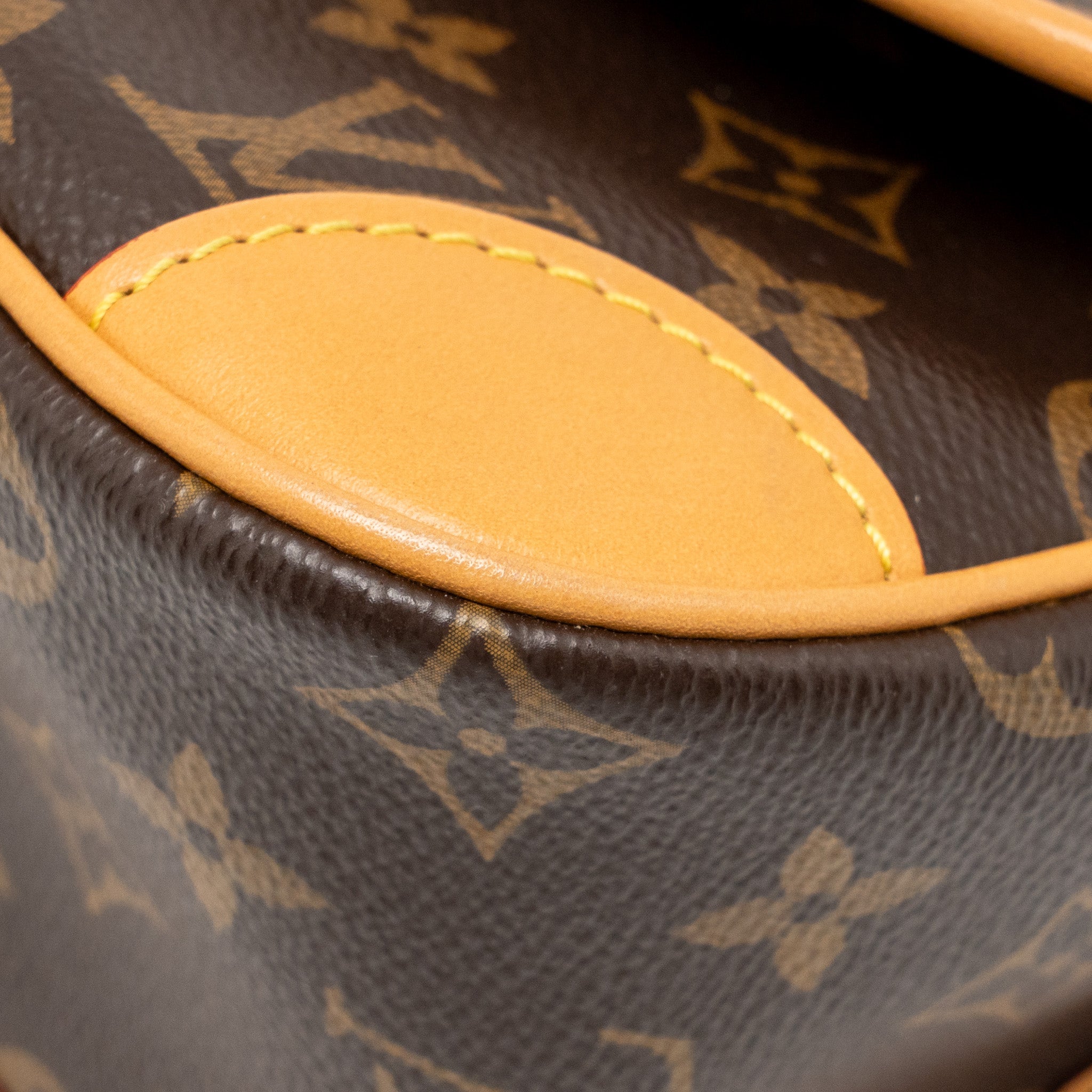 LOUIS VUITTON DIANE BAG MONOGRAM CANVAS GHW