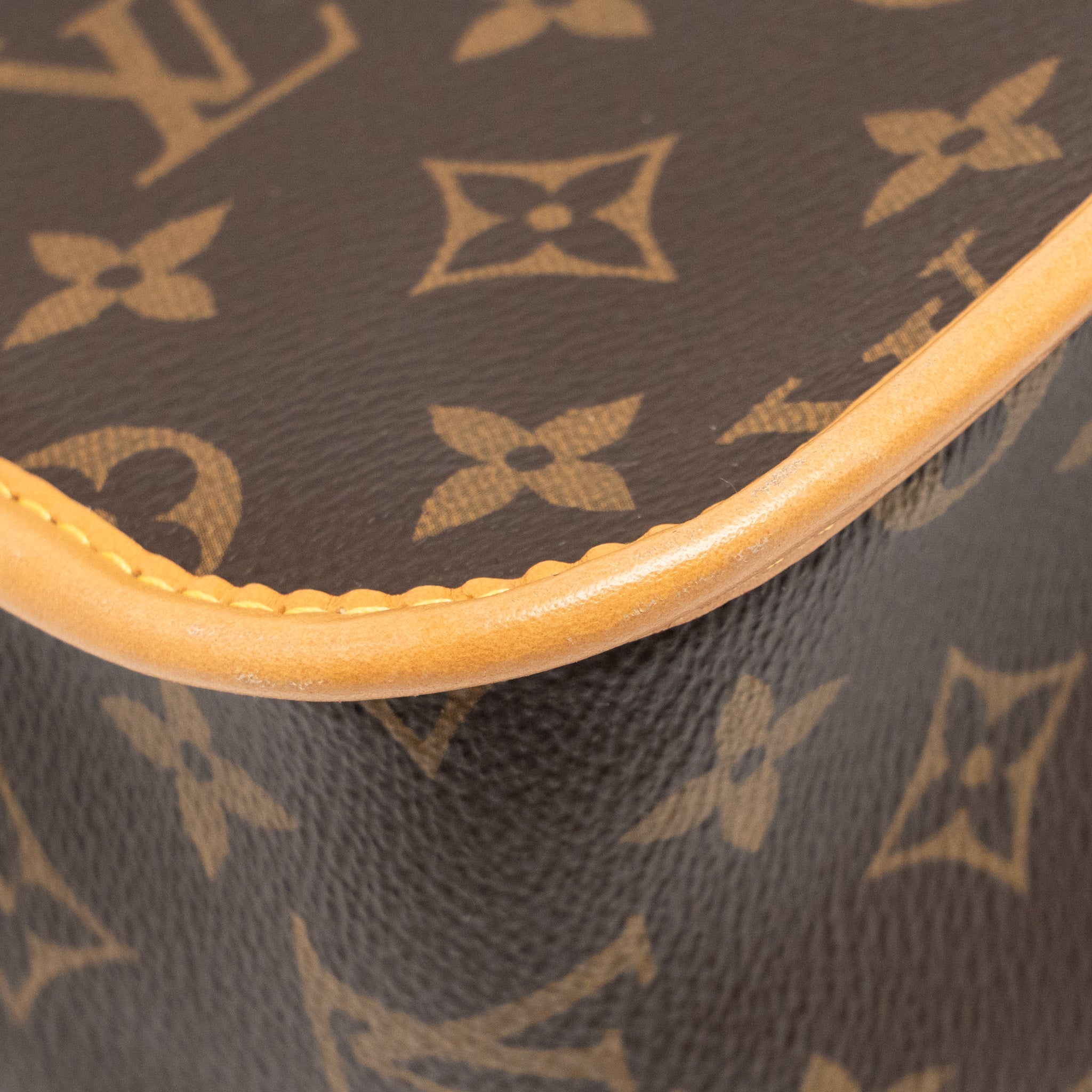 LOUIS VUITTON DIANE BAG MONOGRAM CANVAS GHW