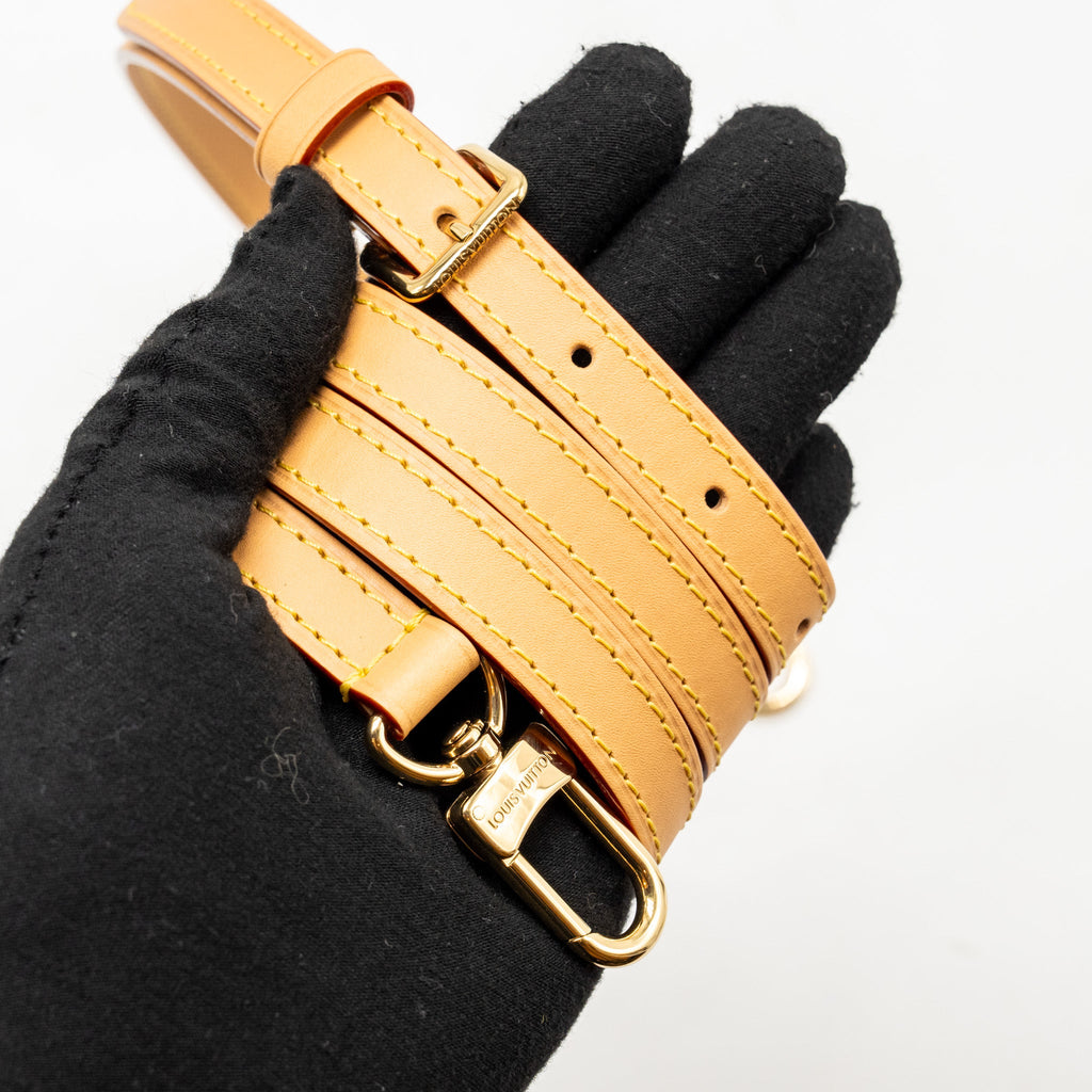 LOUIS VUITTON NANO ALMA MONOGRAM CANVAS GHW