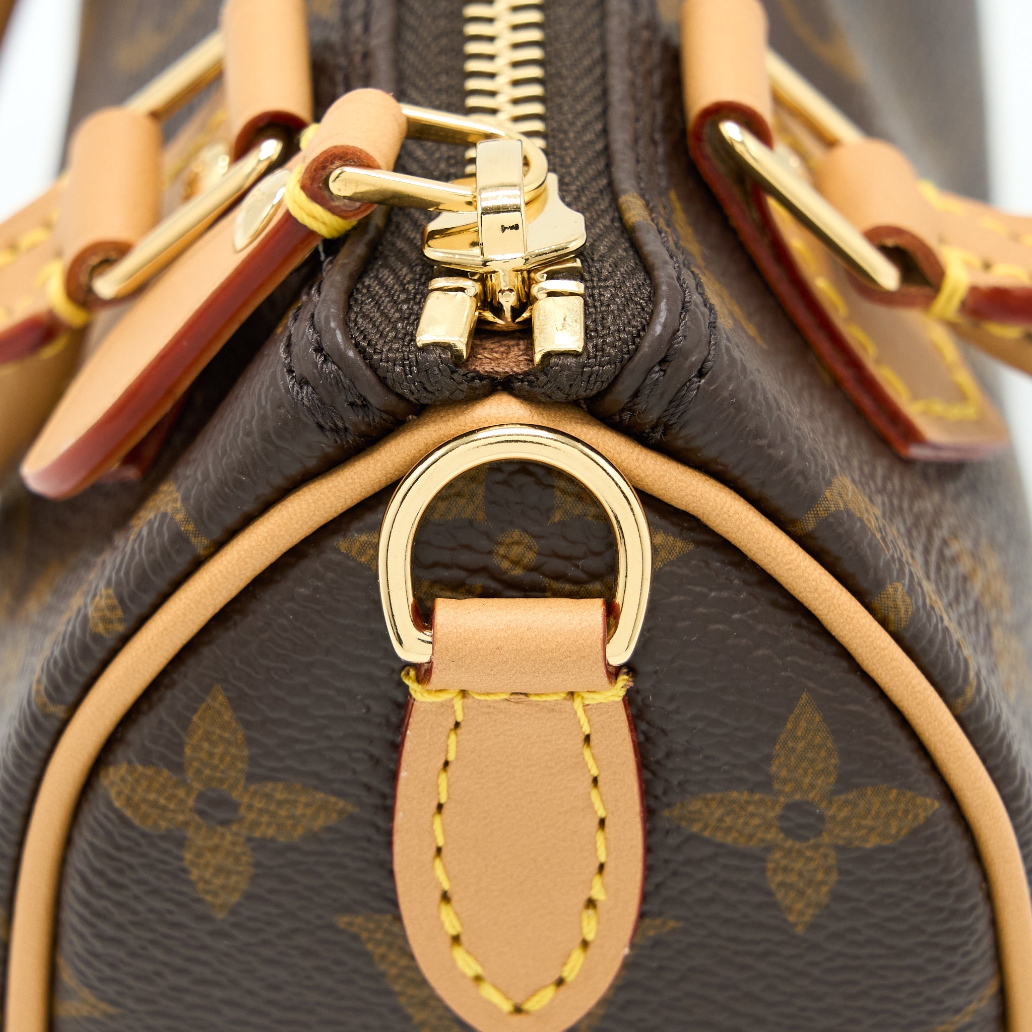 LOUIS VUITTON NANO SPEEDY MONOGRAM CANVAS GHW (NEW VERSION)