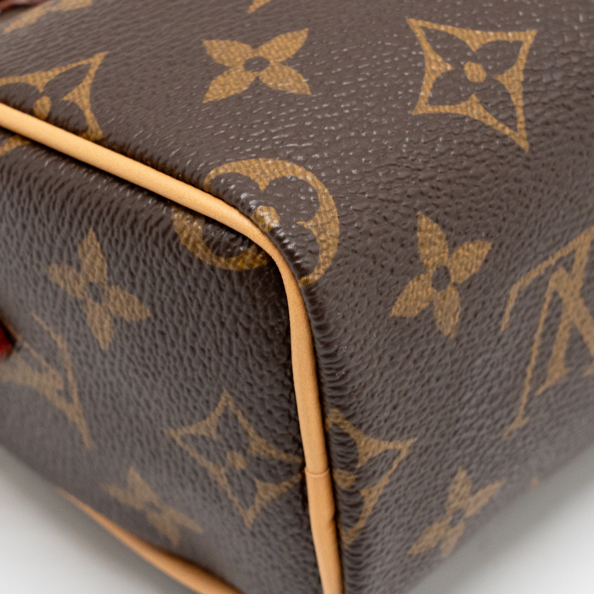 LOUIS VUITTON NANO SPEEDY MONOGRAM CANVAS GHW