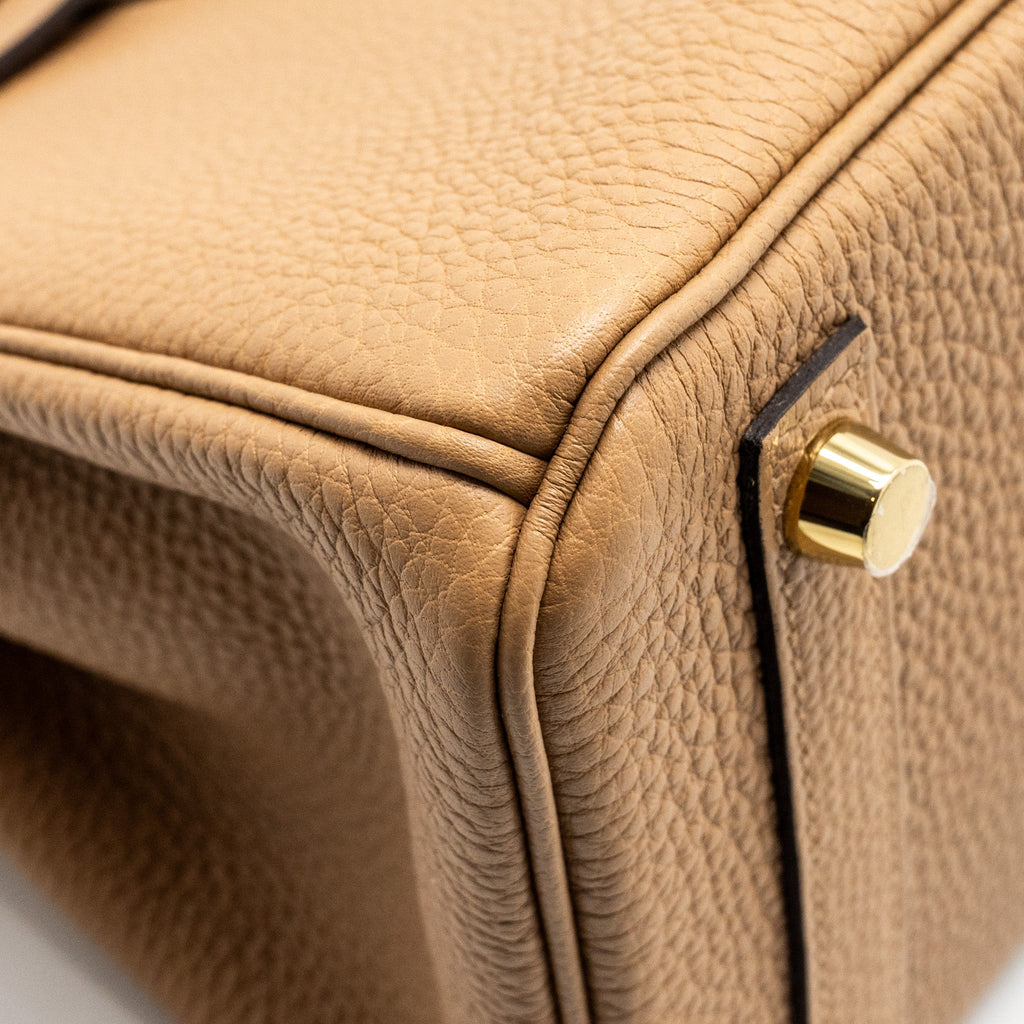 HERMES BIRKIN 25 TOGO CHAI GHW