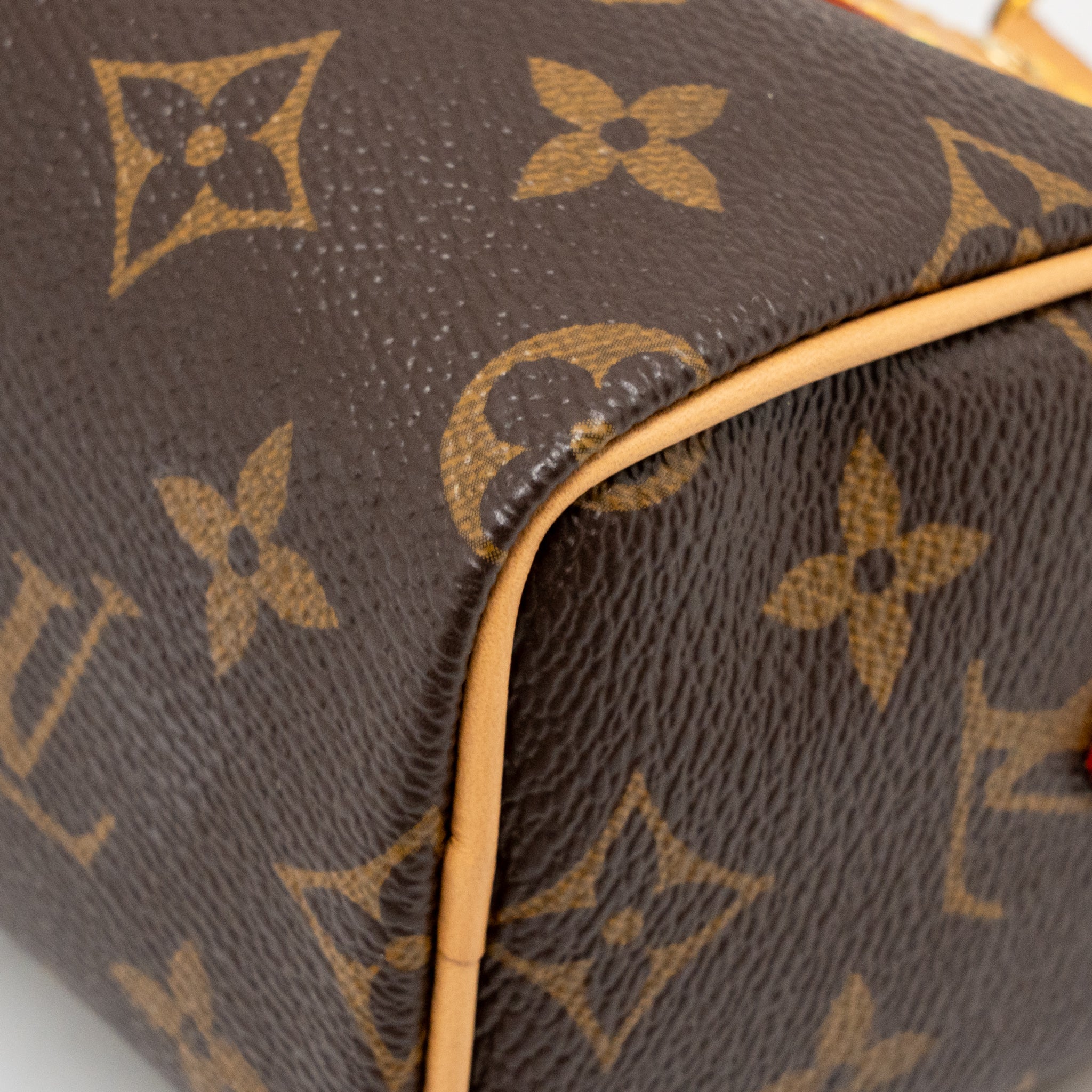 LOUIS VUITTON NANO SPEEDY MONOGRAM CANVAS GHW