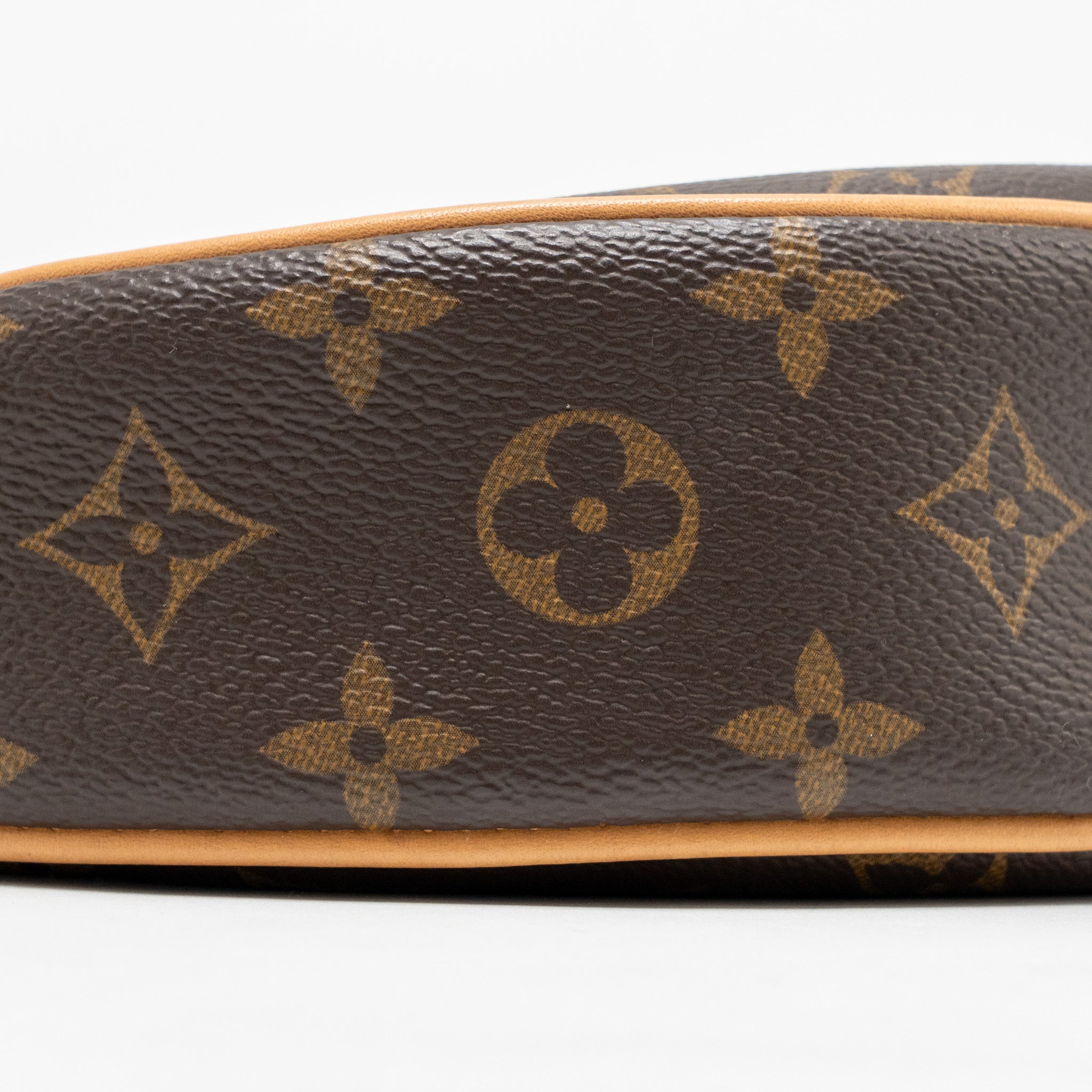 LOUIS VUITTON LOOP BAG MONOGRAM CANVAS GHW