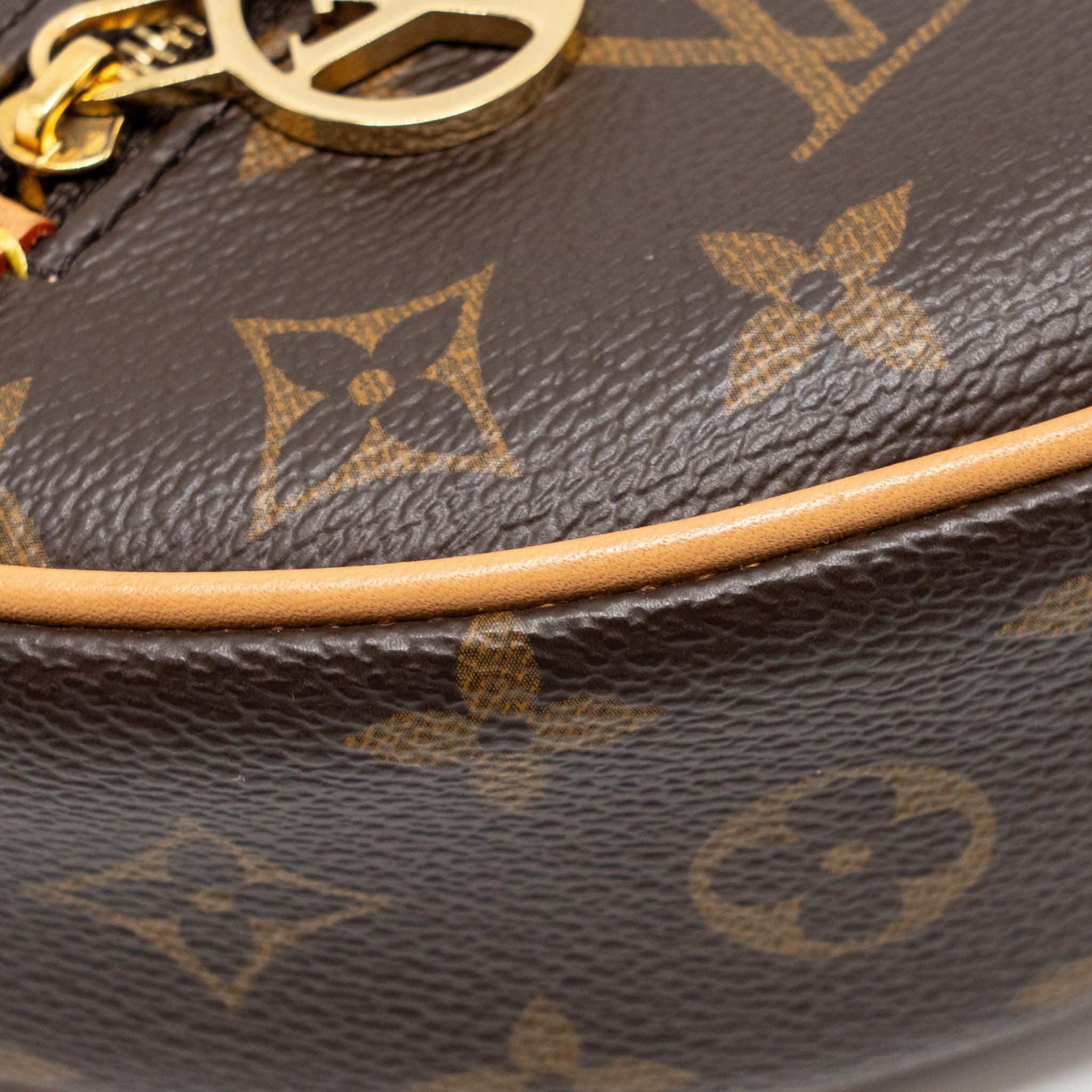 LOUIS VUITTON LOOP BAG MONOGRAM CANVAS GHW