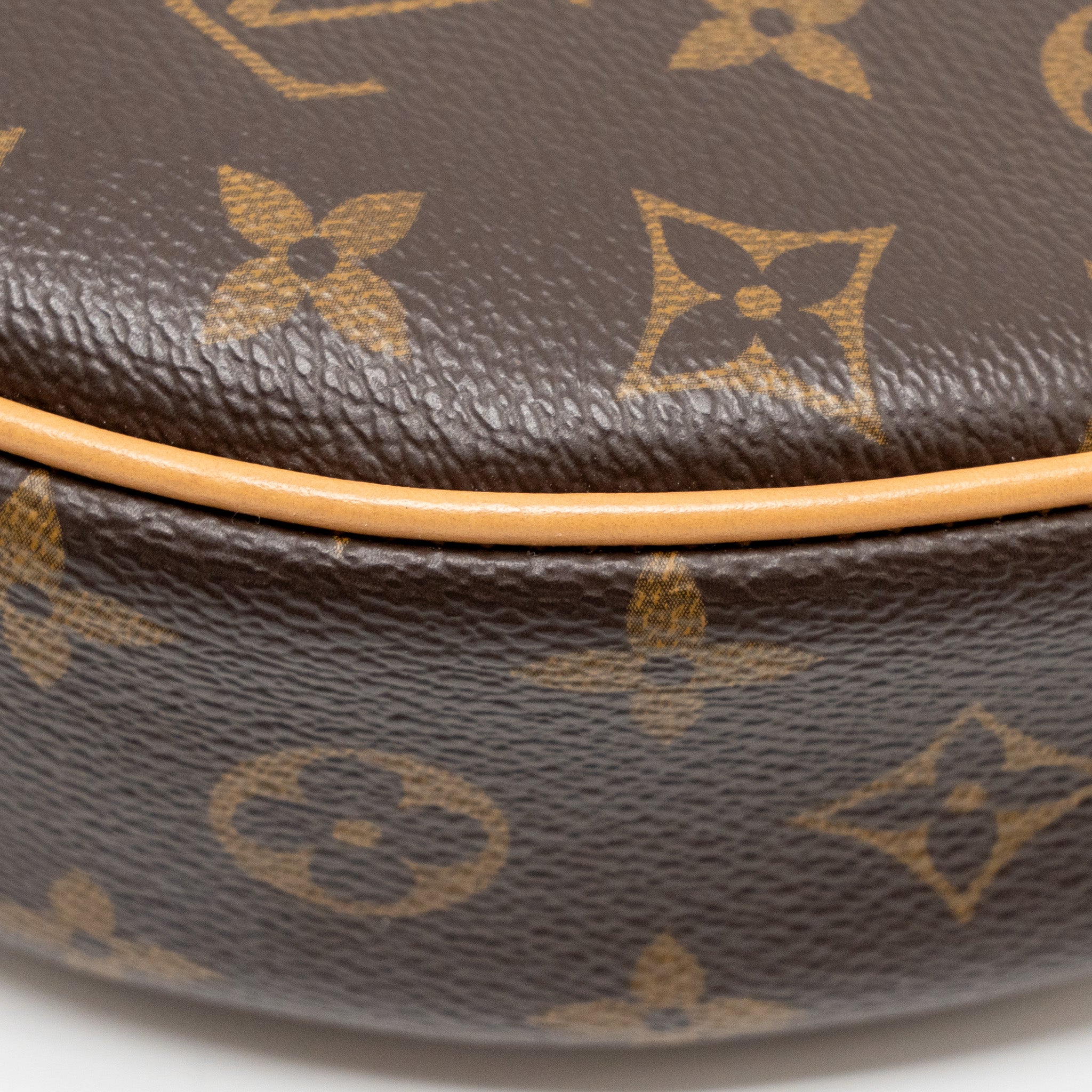 LOUIS VUITTON LOOP BAG MONOGRAM CANVAS GHW