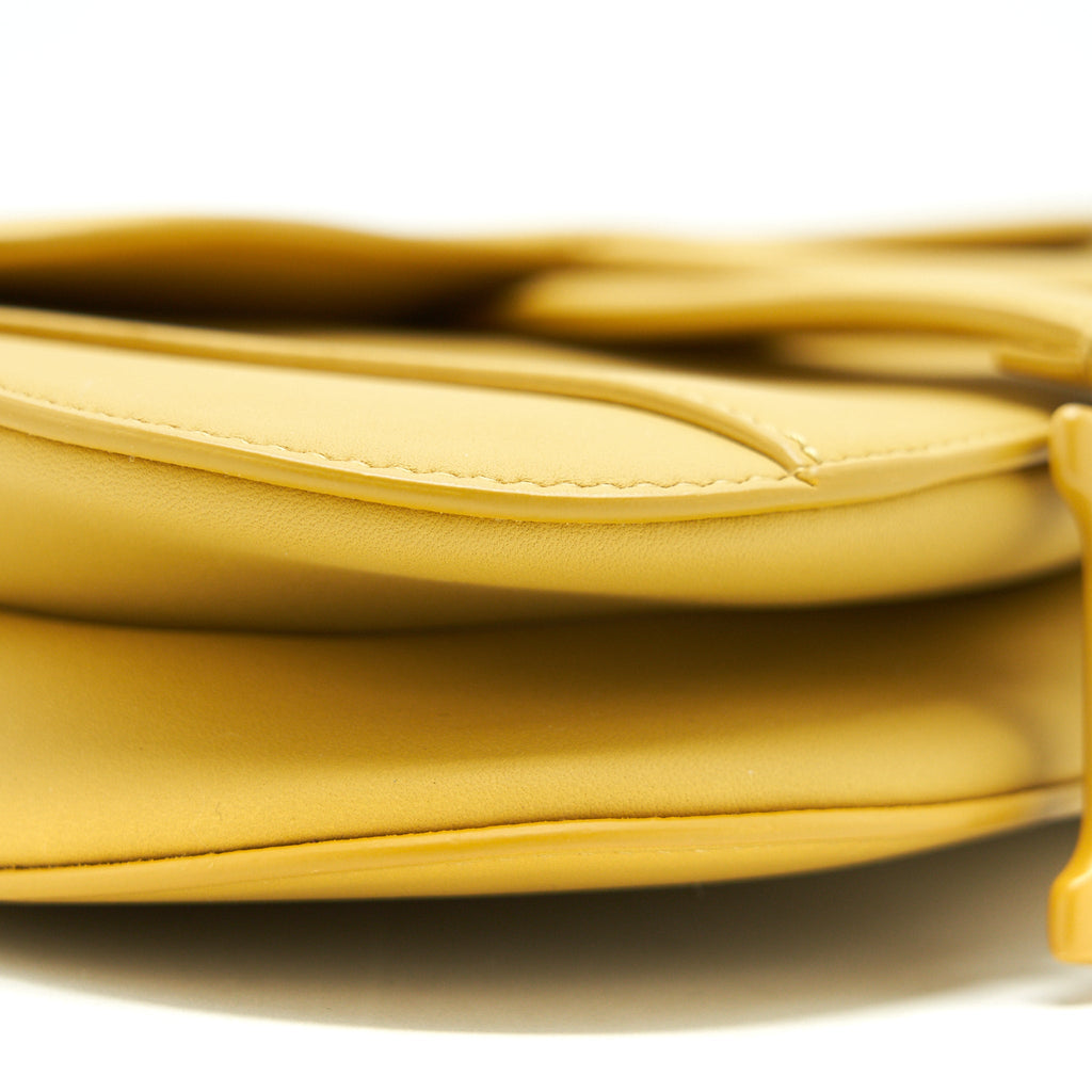 CHRISTIAN DIOR ULTRA-MATTE MINI SADDLE BAG CALFSKIN