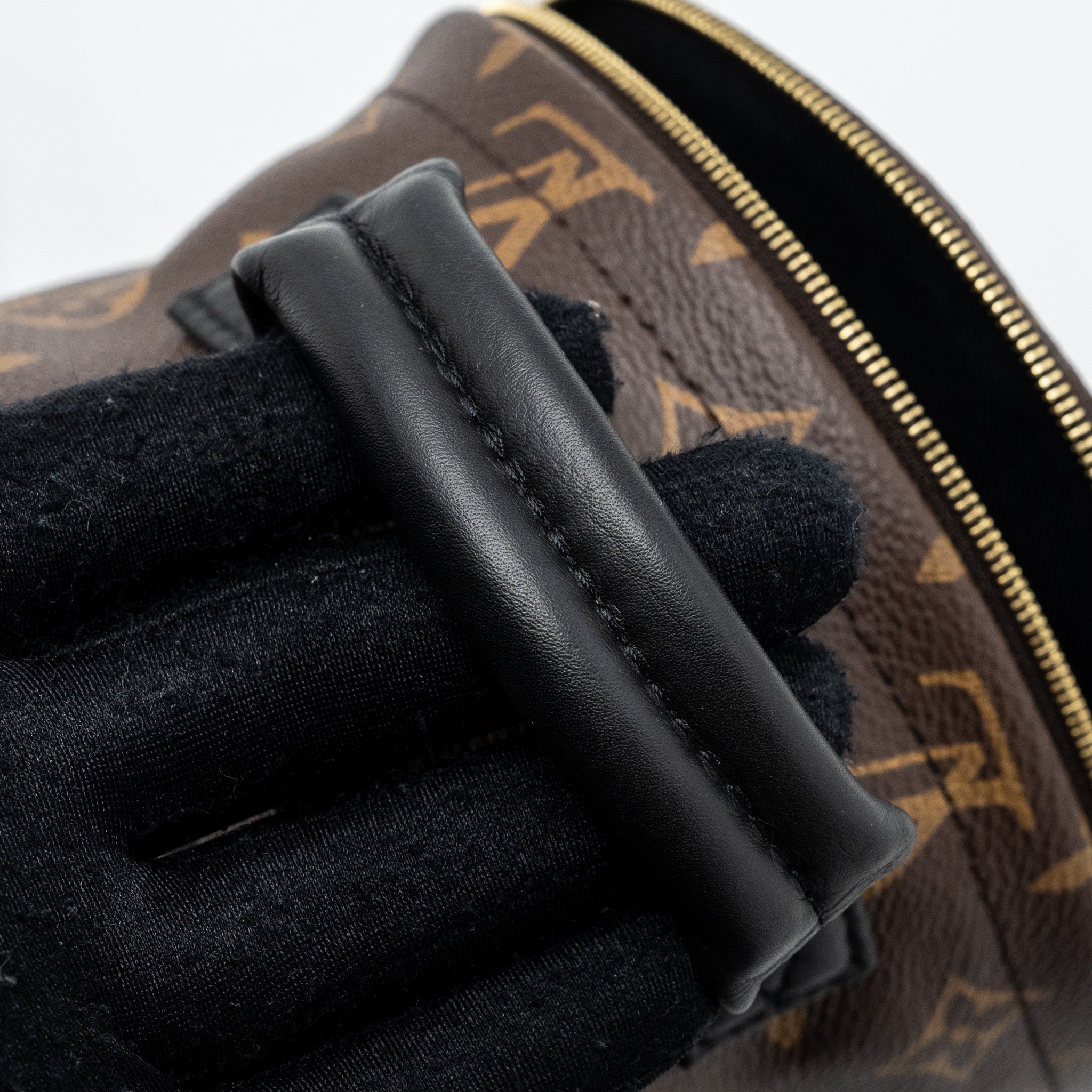 LOUIS VUITTON PALM SPRING MINI BACKPACK MONOGRAM CANVAS GHW (NEW VERSION)