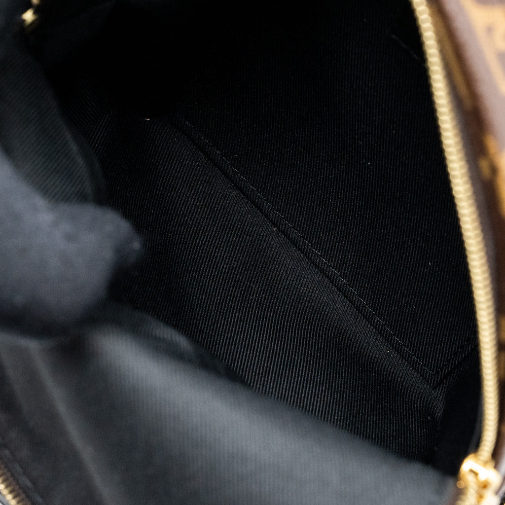 LOUIS VUITTON PALM SPRING MINI BACKPACK MONOGRAM CANVAS GHW (NEW VERSION)