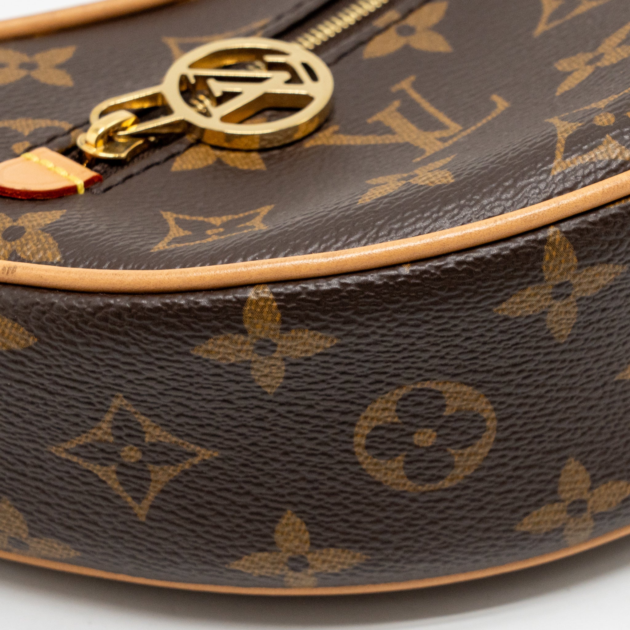 LOUIS VUITTON LOOP PM BAG MONOGRAM CANVAS GHW