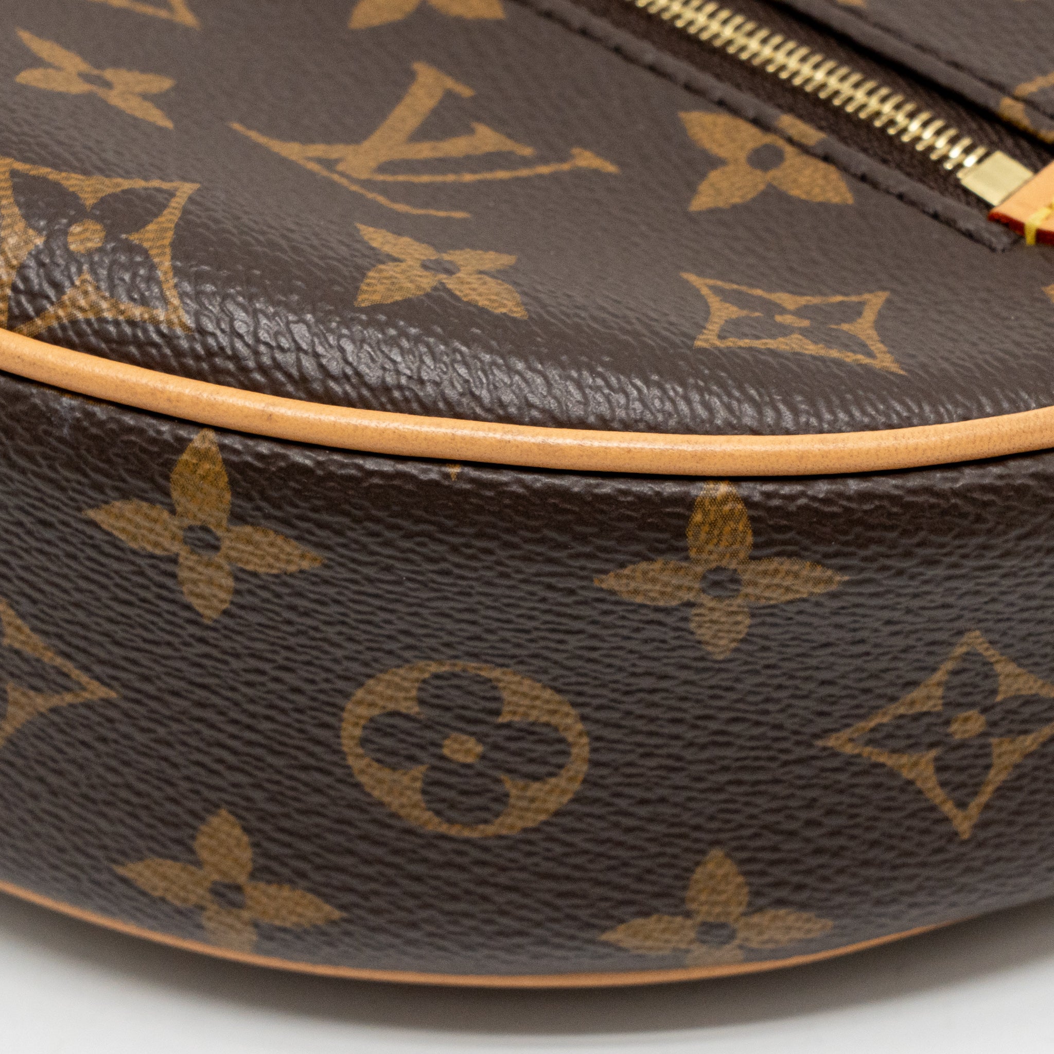 LOUIS VUITTON LOOP PM BAG MONOGRAM CANVAS GHW