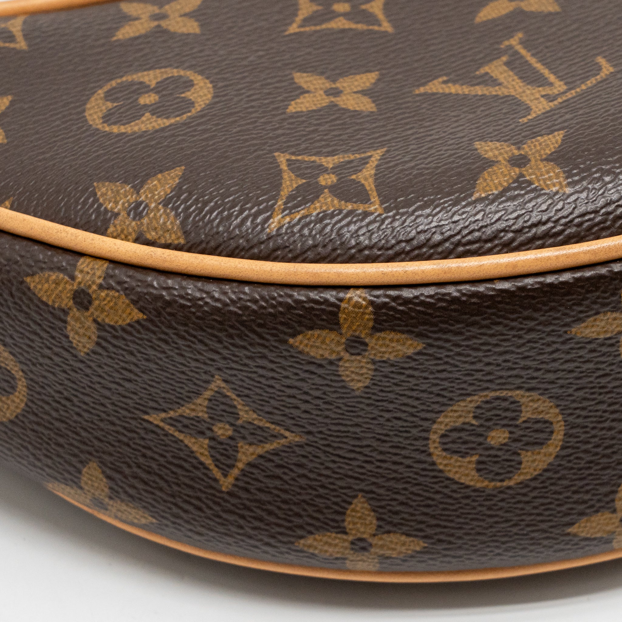 LOUIS VUITTON LOOP PM BAG MONOGRAM CANVAS GHW