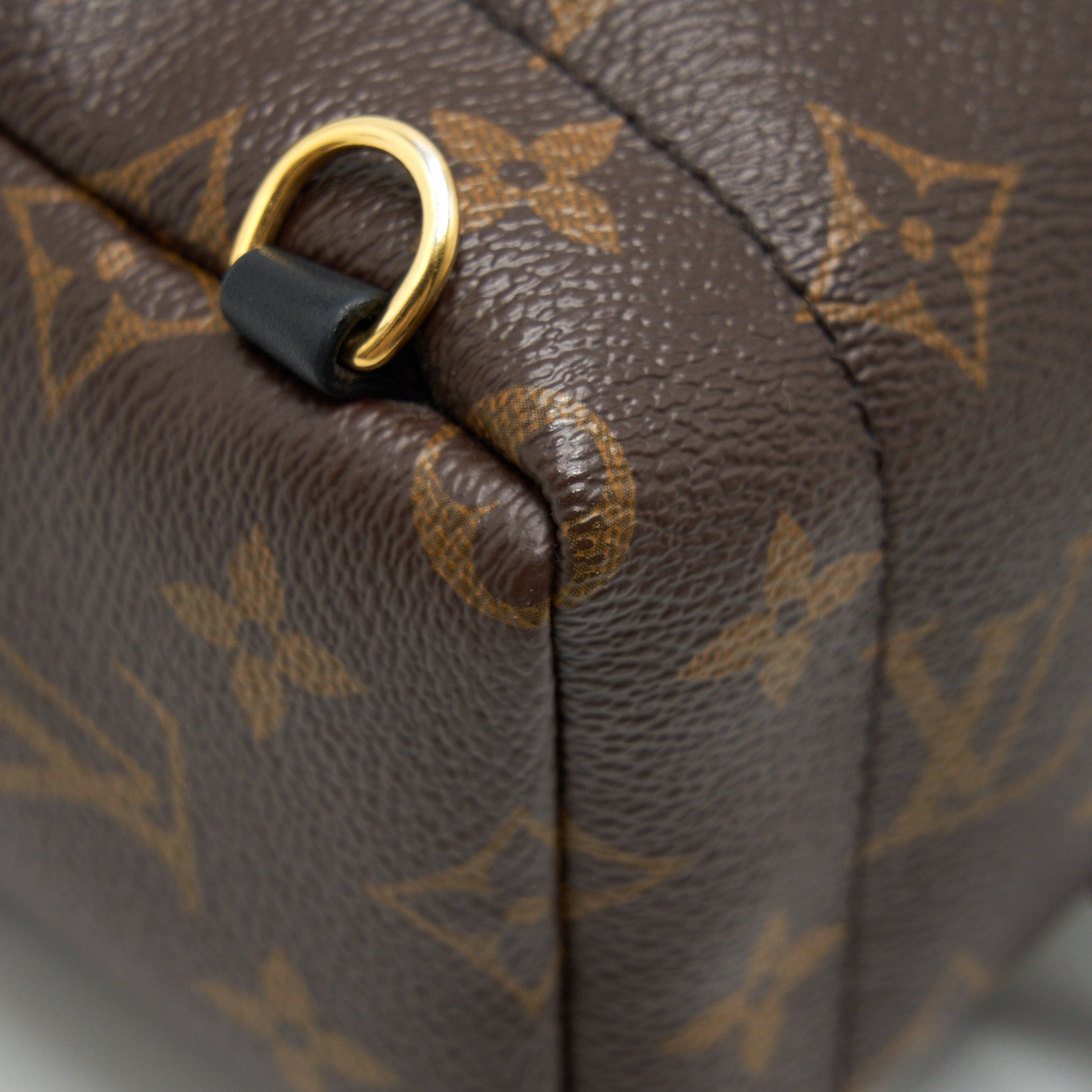 LOUIS VUITTON MINI PALM SPRINGS BAG MONOGRAM CANVAS