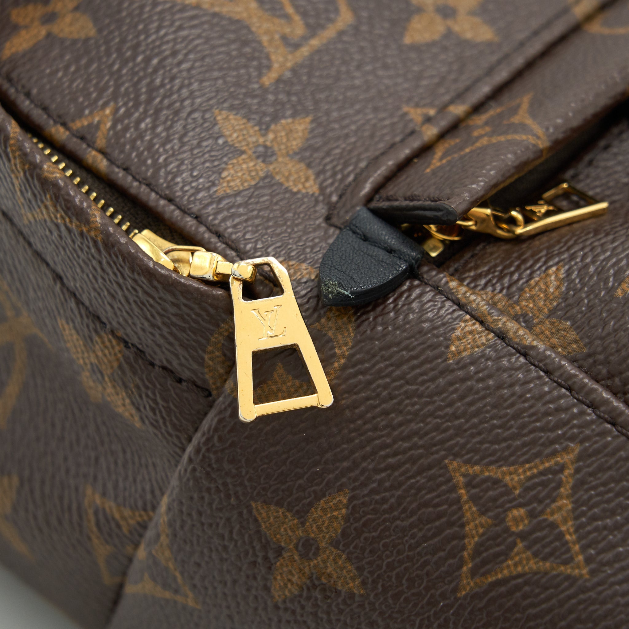 LOUIS VUITTON MINI PALM SPRINGS BAG MONOGRAM CANVAS