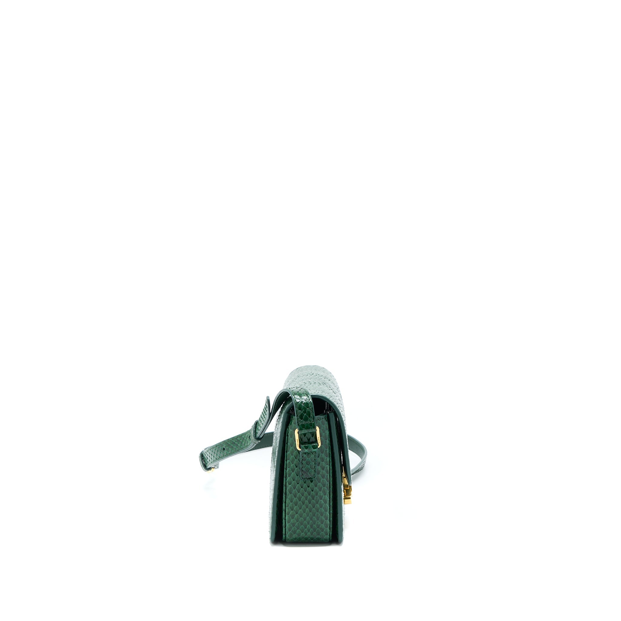 CELINE TRIOMPHE BAG WATER SNAKE LEATHER GREEN GHW