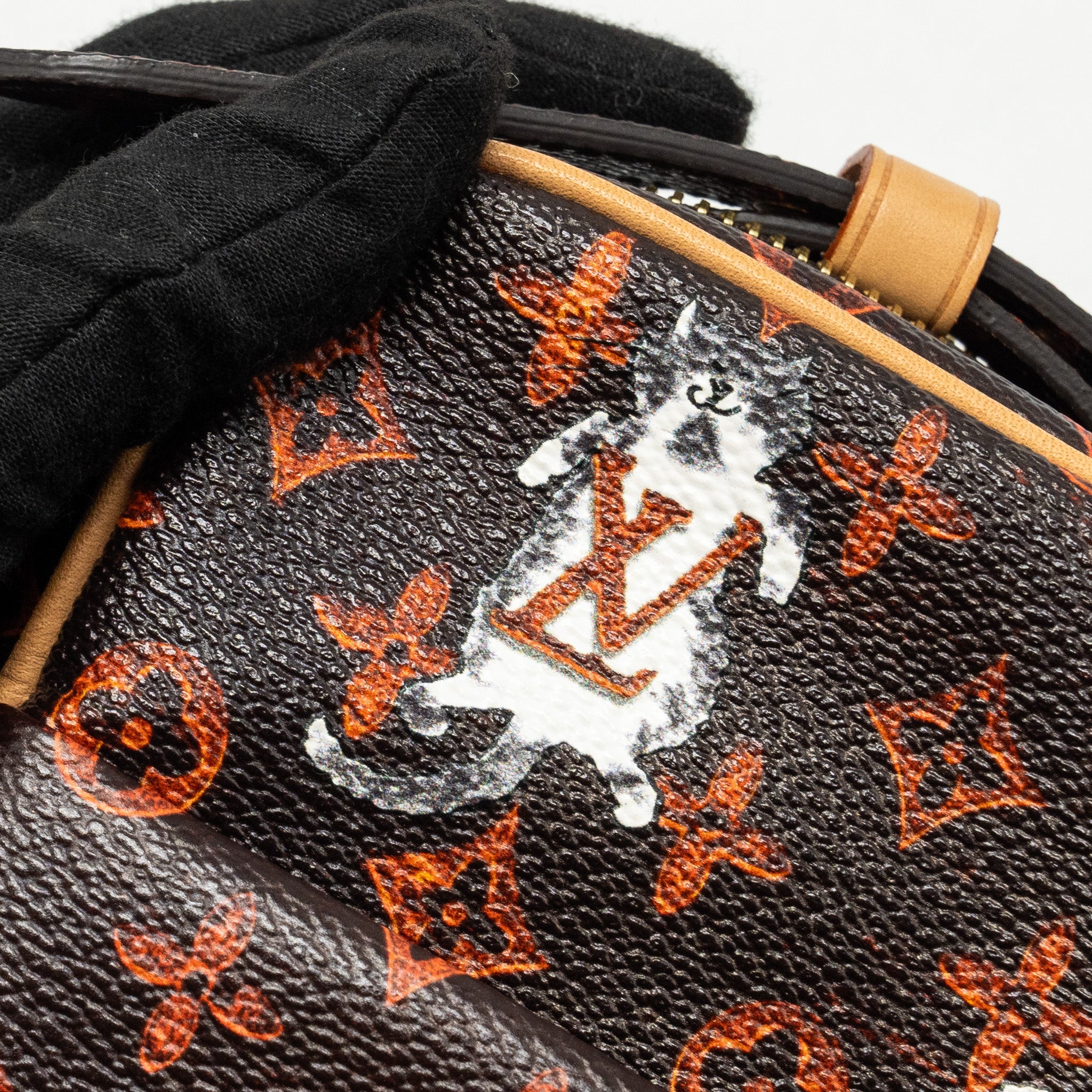 LOUIS VUITTON CATOGRAM PANAME SET MONOGRAM CANVAS MULTICOLOUR GHW