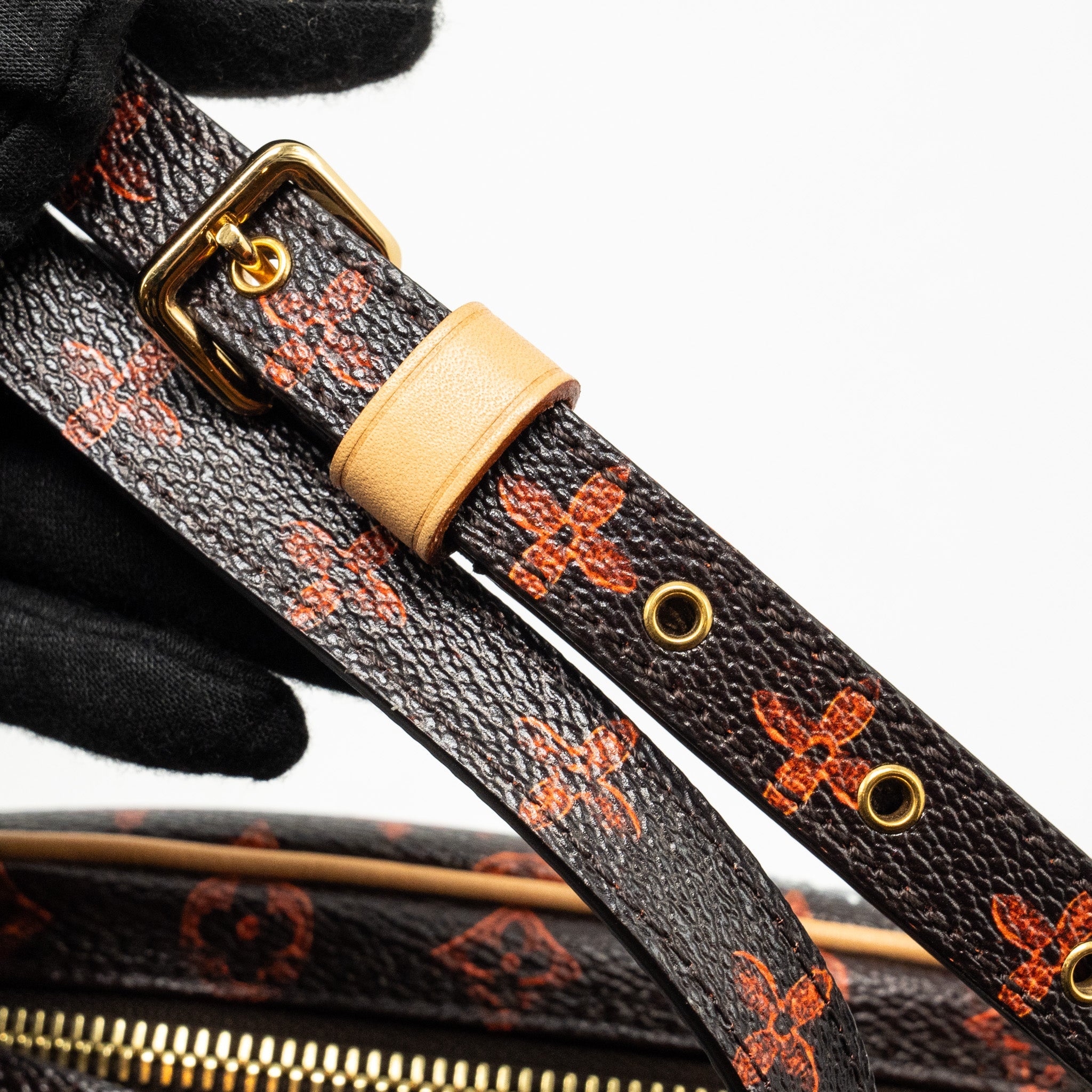 LOUIS VUITTON CATOGRAM PANAME SET MONOGRAM CANVAS MULTICOLOUR GHW