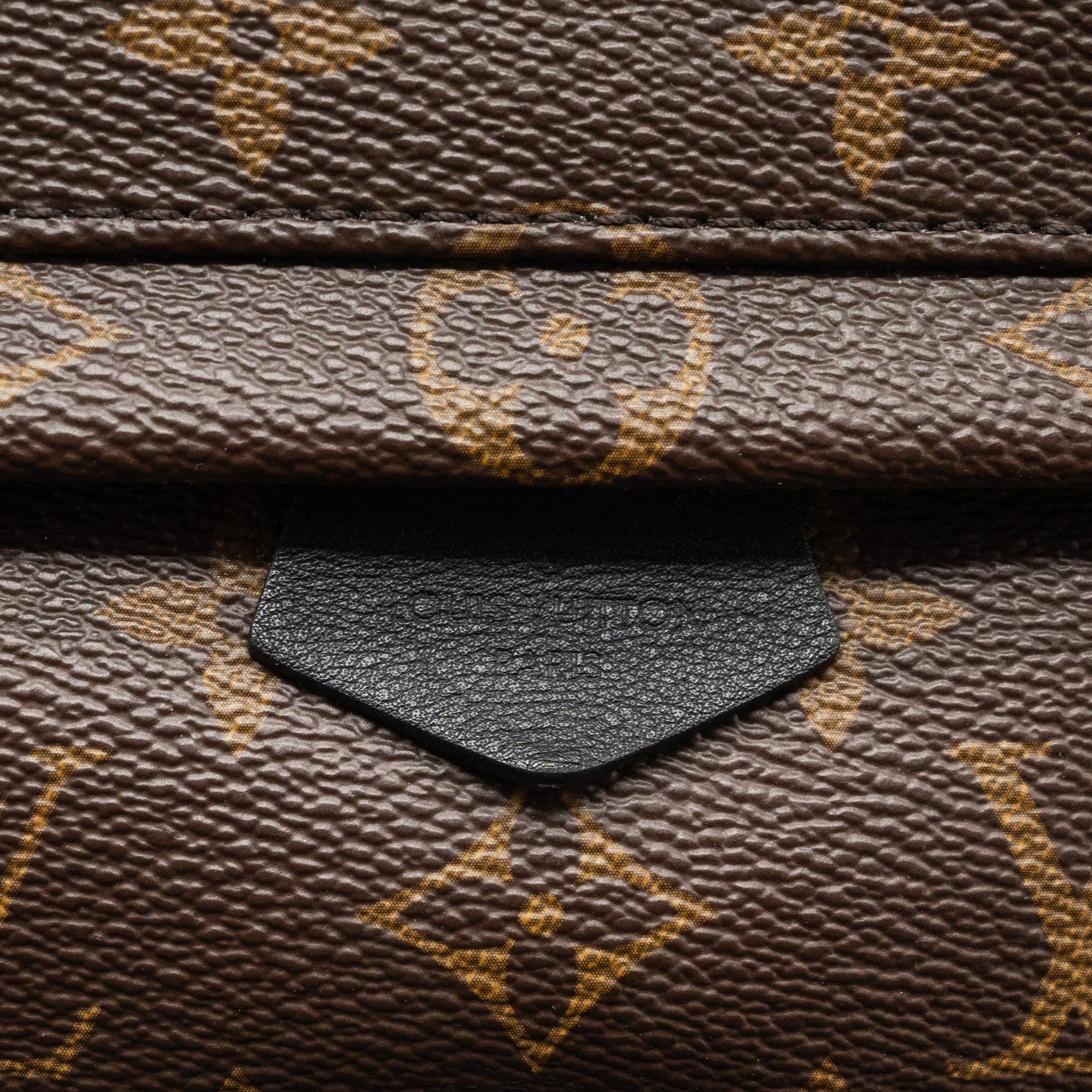 LOUIS VUITTON MINI PALM SPRING BACKPACK MONOGRAM CANVAS GHW