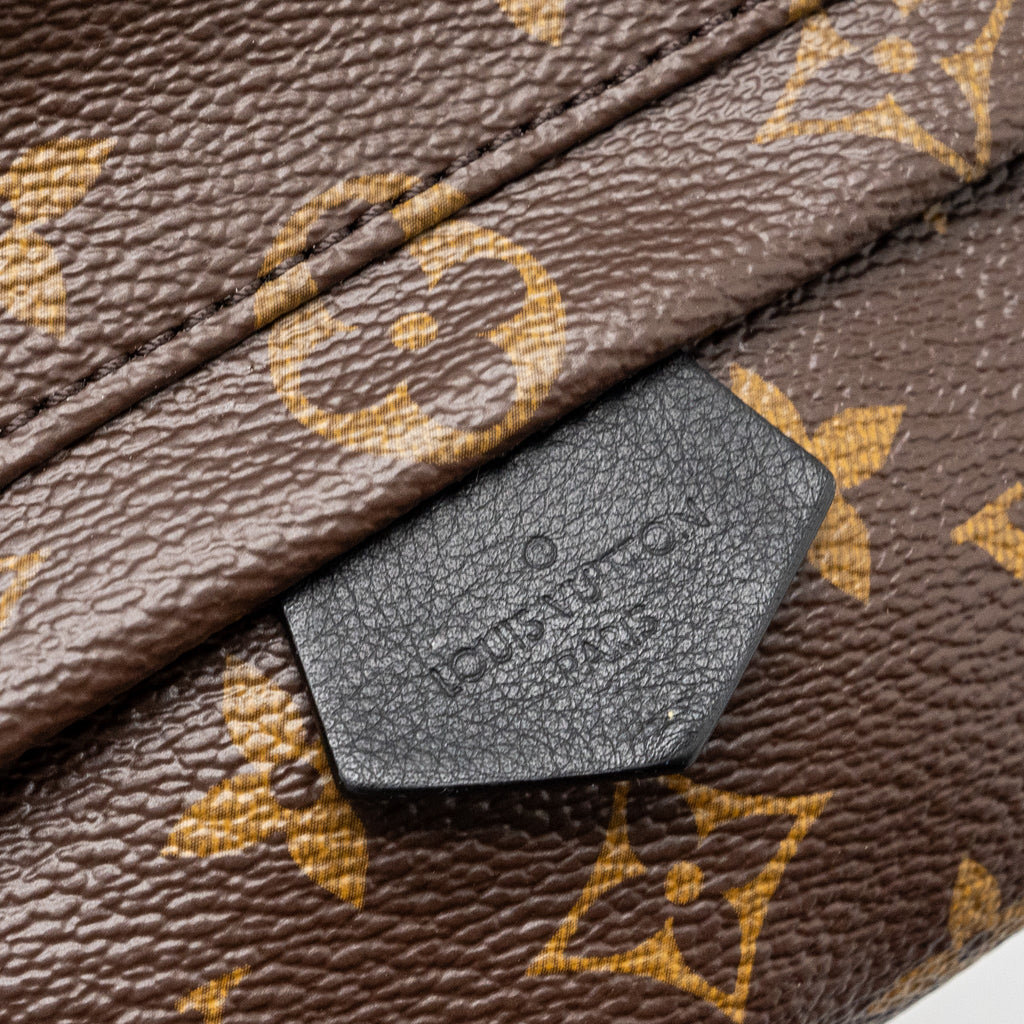 LOUIS VUITTON MINI PALM SPRING BACKPACK MONOGRAM CANVAS GHW