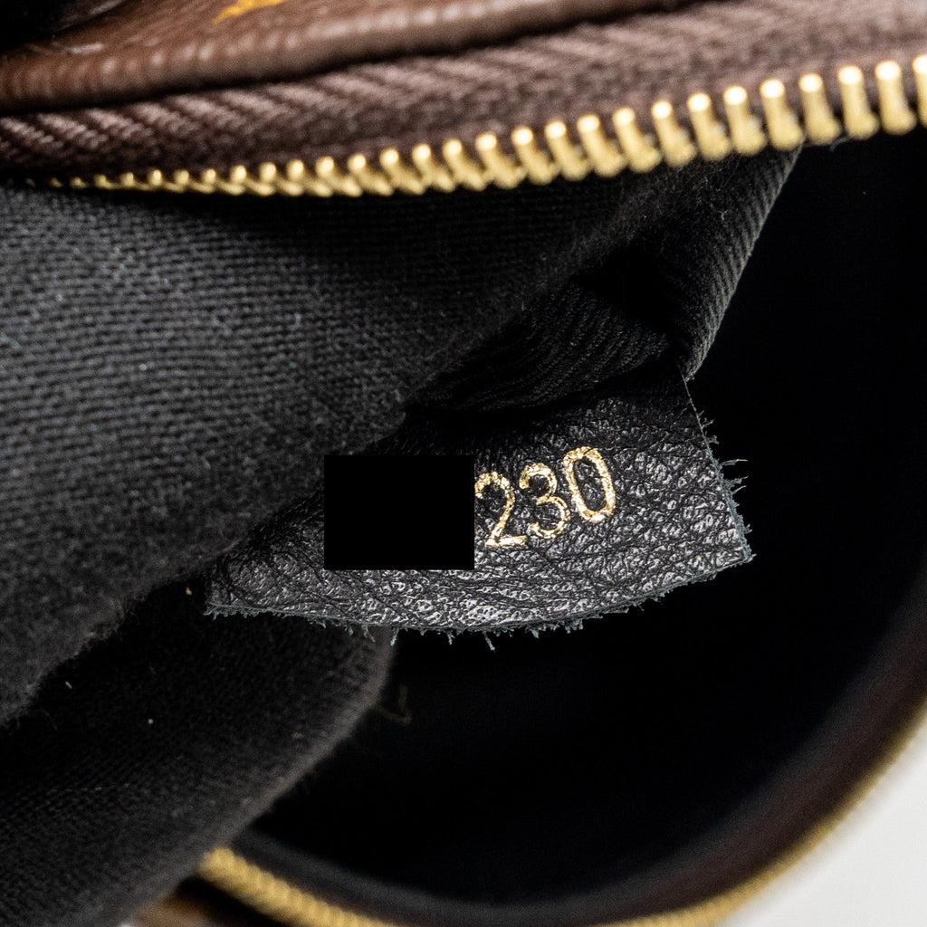 LOUIS VUITTON MINI PALM SPRING BACKPACK MONOGRAM CANVAS GHW